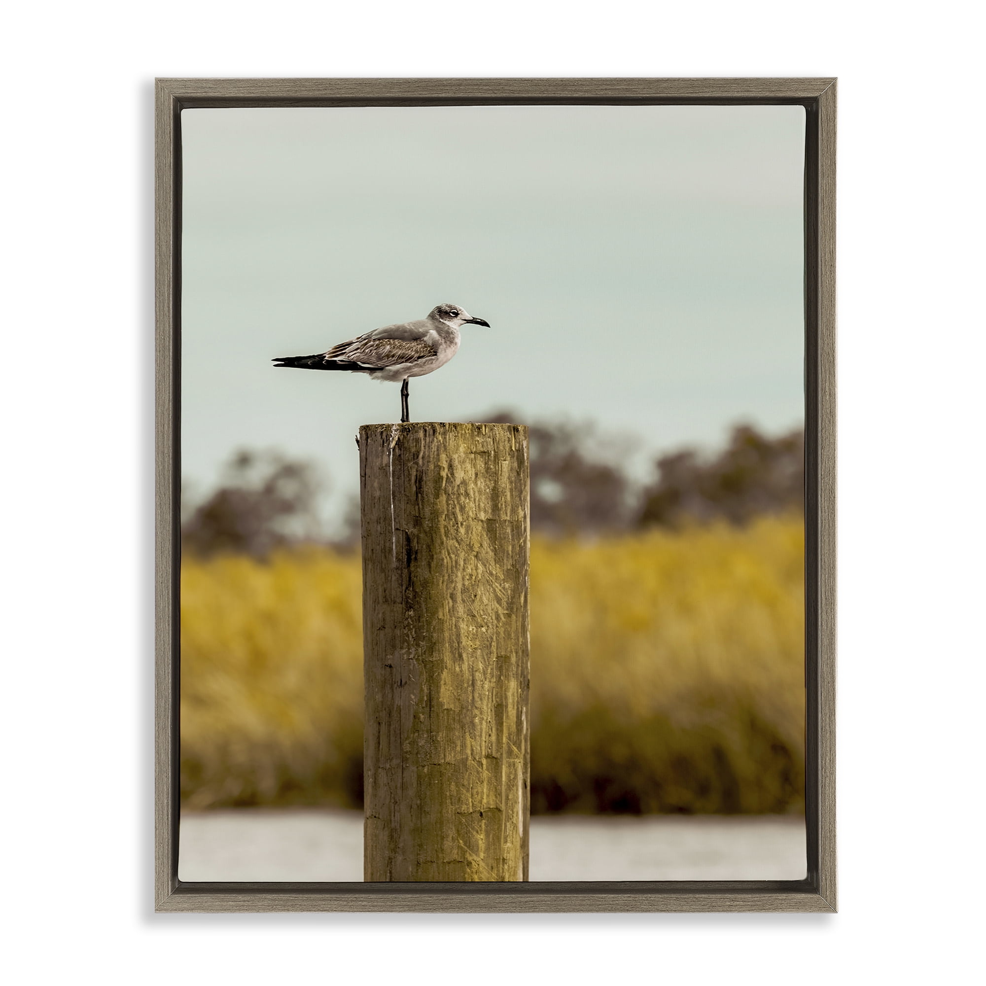 Stupell Industries Gull On Piling Brown Framed Floater Canvas Wall Art, design by Christy Berry