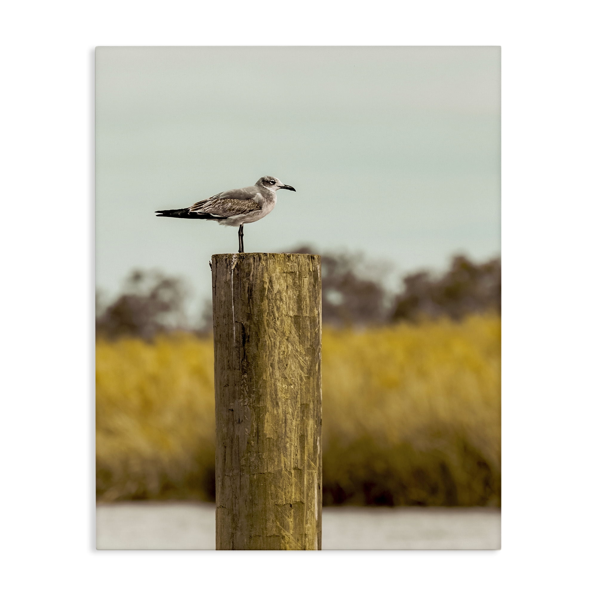 Stupell Industries Gull On Piling Canvas Wall Art, design by Christy Berry