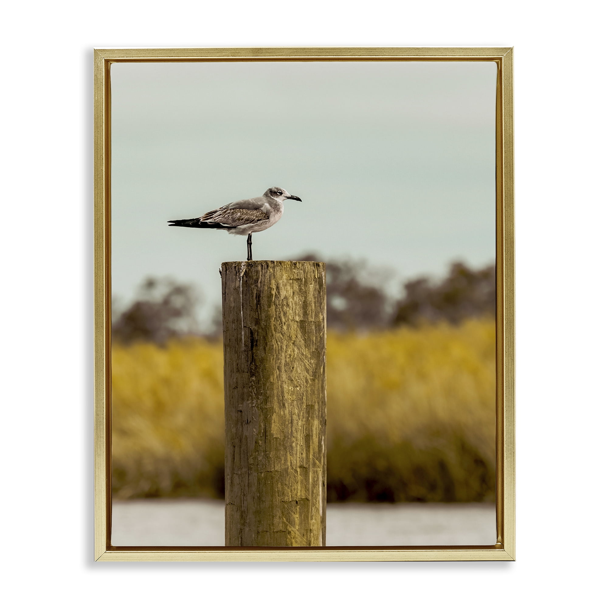 Stupell Industries Gull On Piling Gold Framed Floater Canvas Wall Art, design by Christy Berry