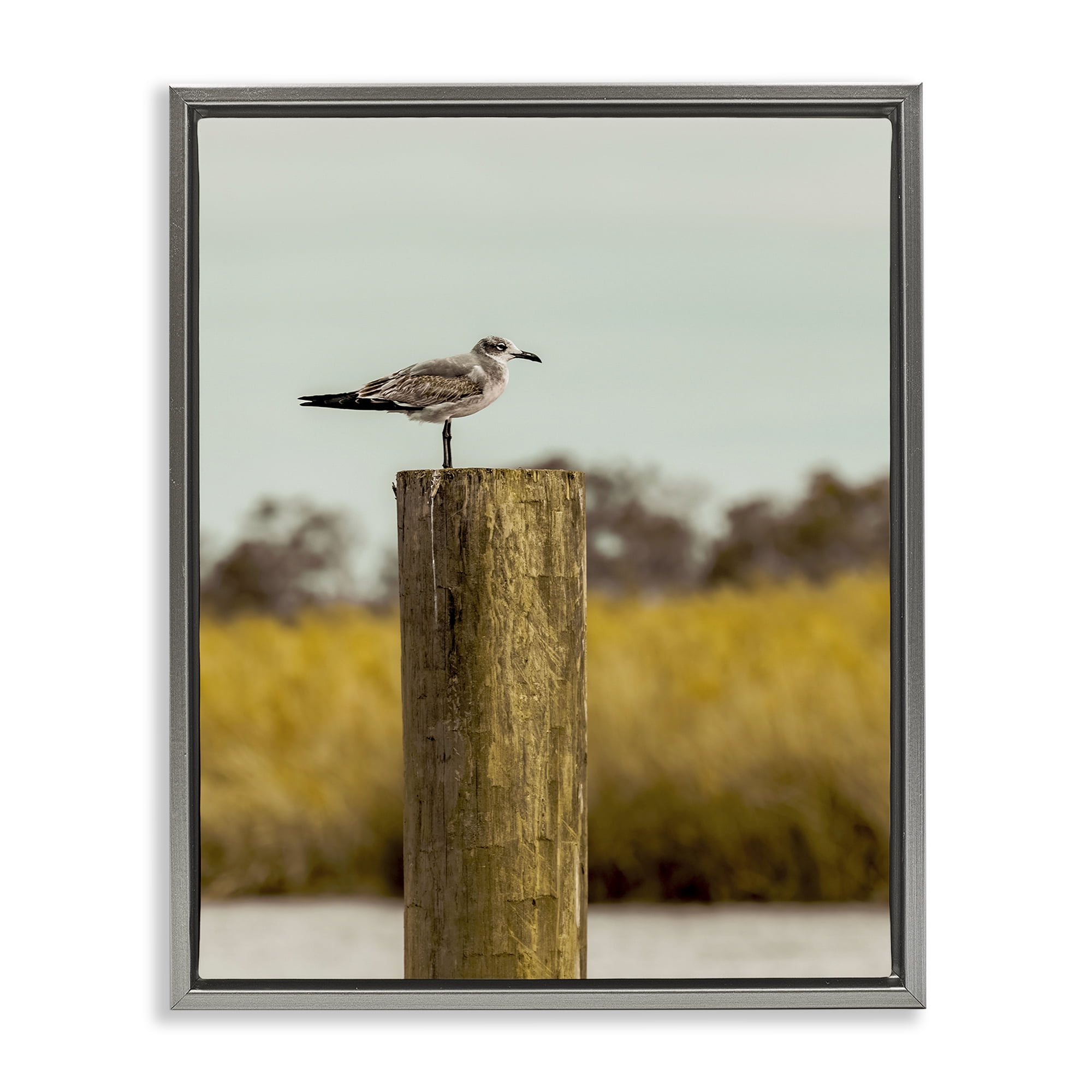 Stupell Industries Gull On Piling Gray Framed Floater Canvas Wall Art, design by Christy Berry