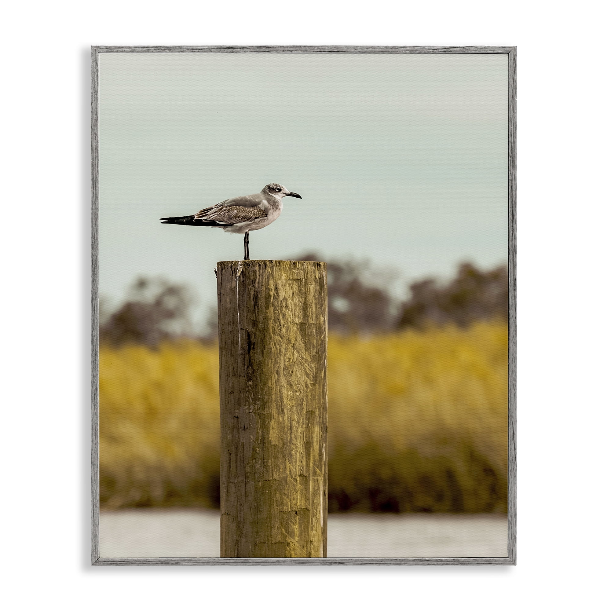 Stupell Industries Gull On Piling Gray Framed Giclee Art, design by Christy Berry