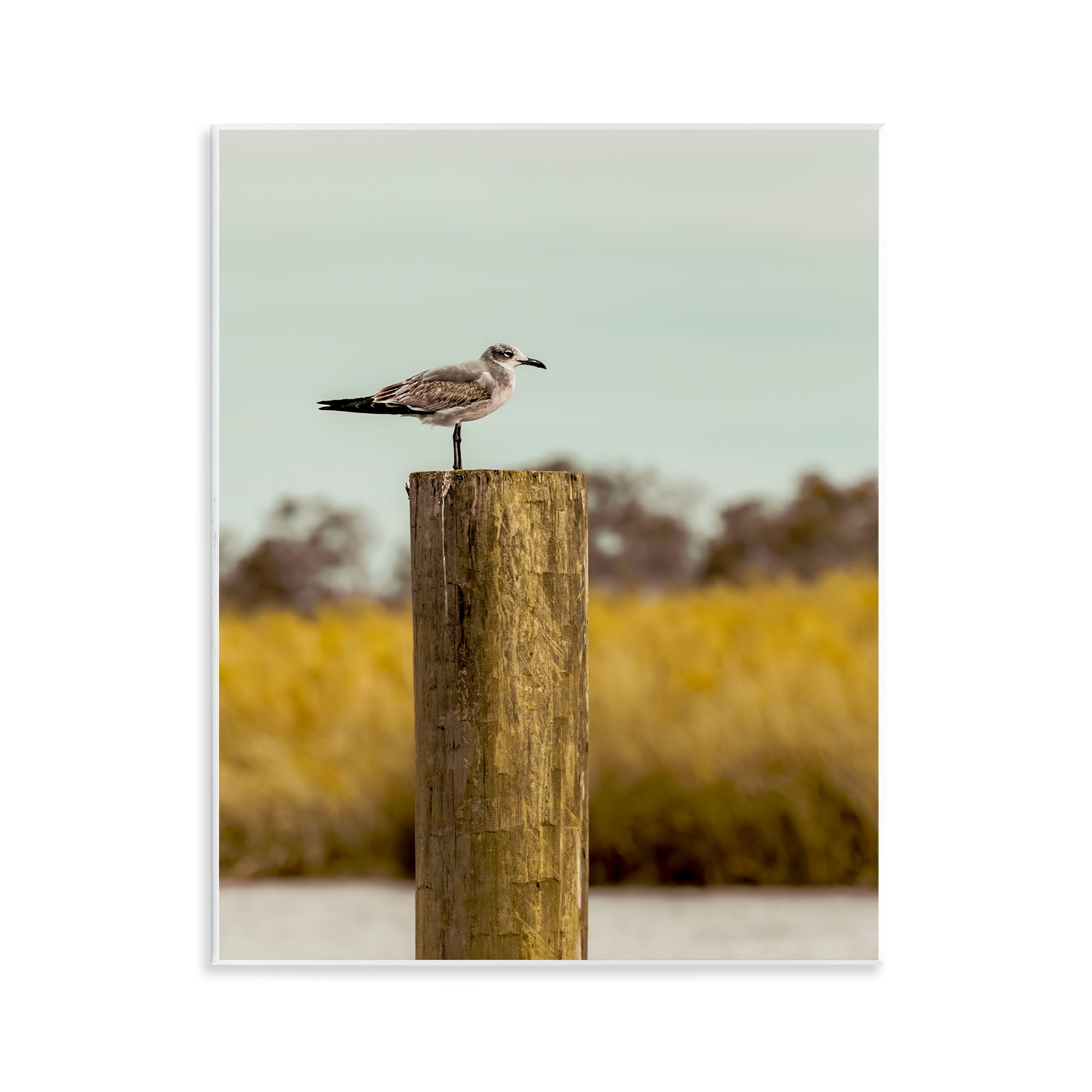 Stupell Industries Gull On Piling Wall Plaque Art, design by Christy Berry