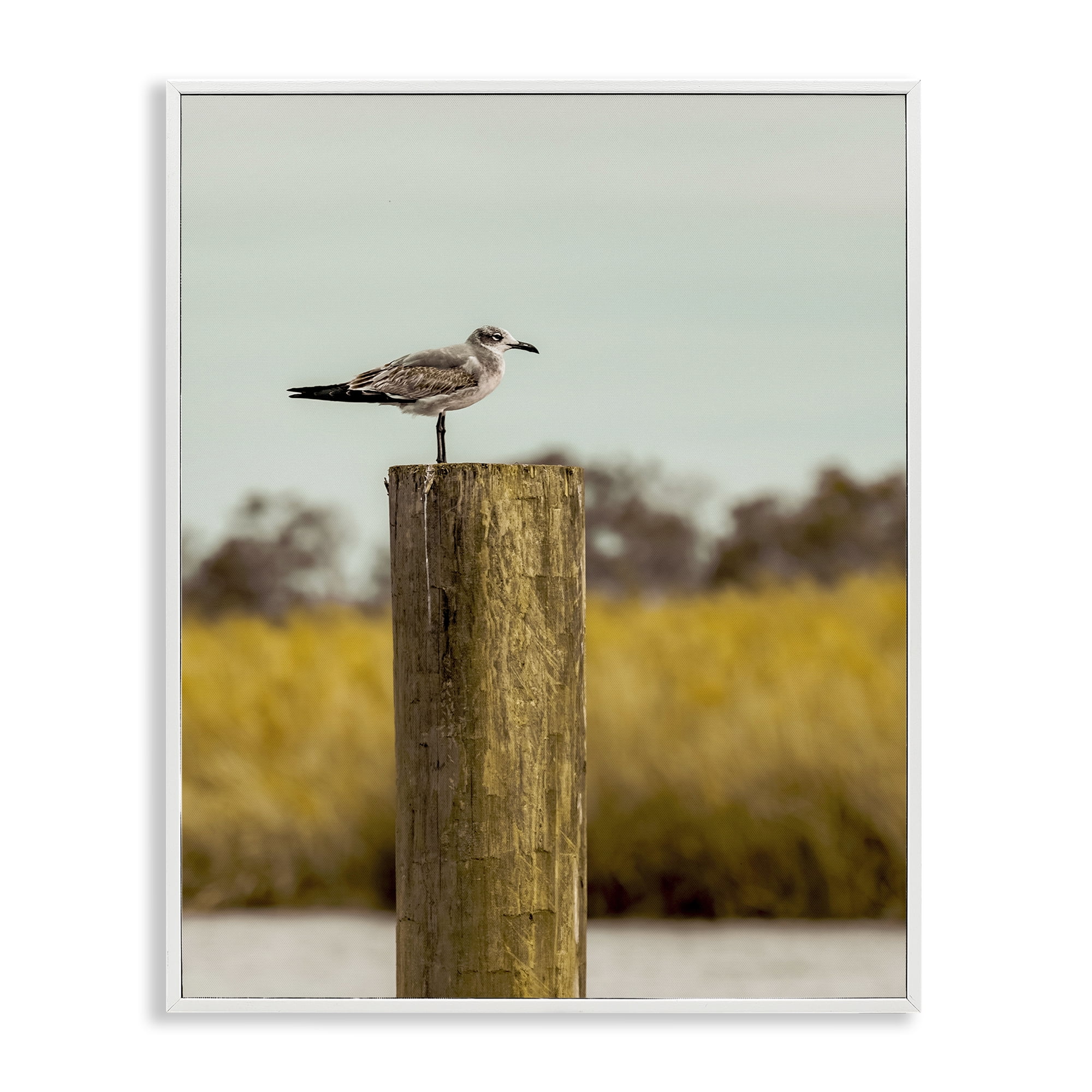 Stupell Industries Gull On Piling White Framed Giclee Art, design by Christy Berry