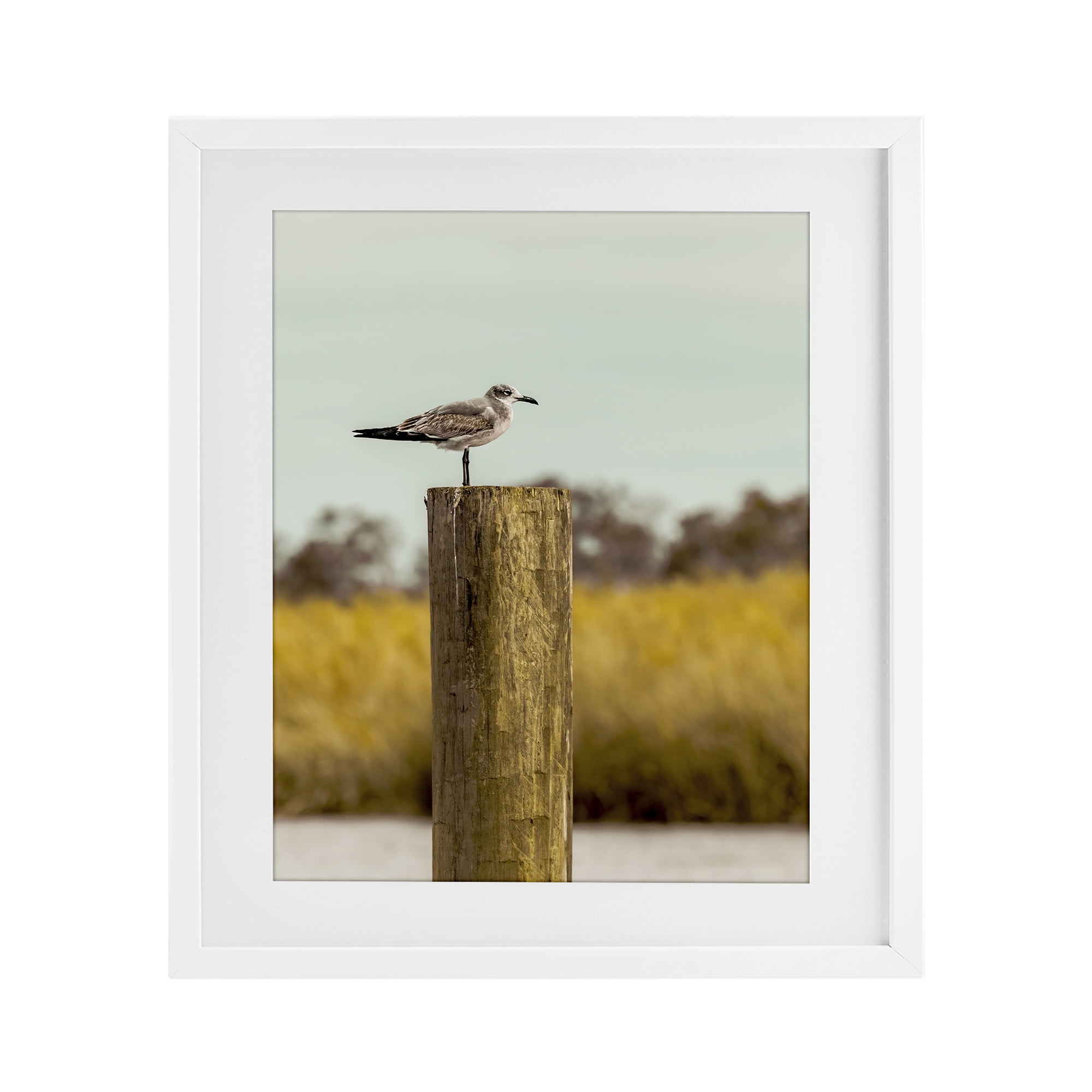 Stupell Industries Gull On Piling White Framed Print Under Glass, design by Christy Berry