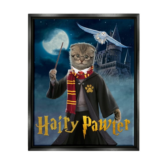 Stupell Industries Hairy Pawter Cat Wizard Animals & Insects Painting Black Floater Framed Canvas Art Print Wall Art, 17 x 21