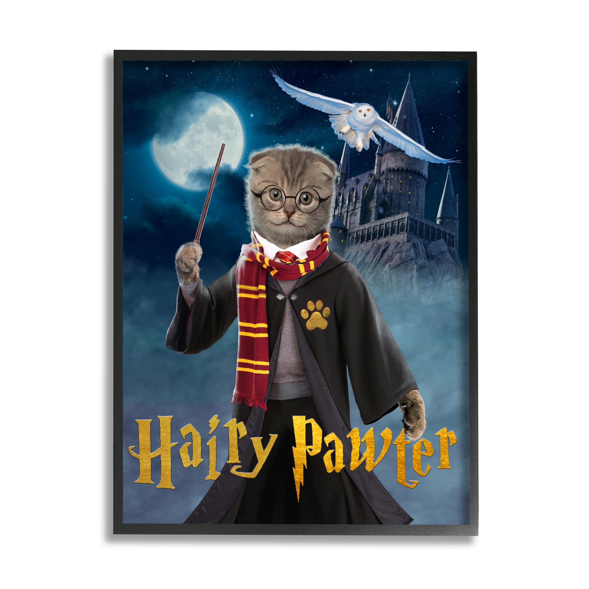 Stupell Industries Hairy Pawter Cat Wizard Animals & Insects Painting Black Framed Art Print Wall Art, 11 x 14