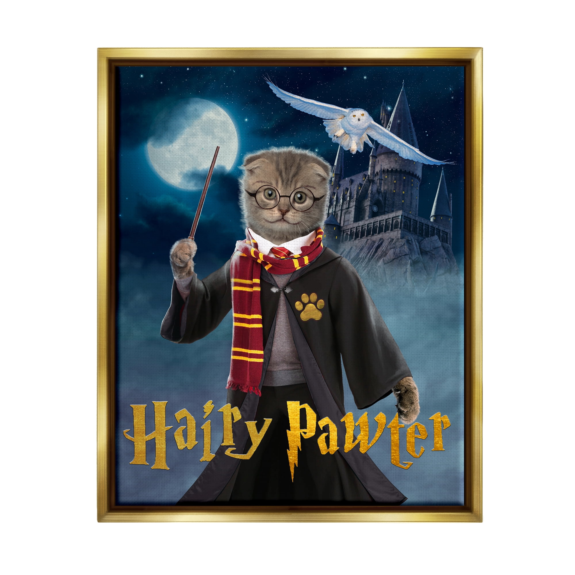 Stupell Industries Hairy Pawter Cat Wizard Animals & Insects Painting Gold Floater Framed Canvas Art Print Wall Art, 17 x 21