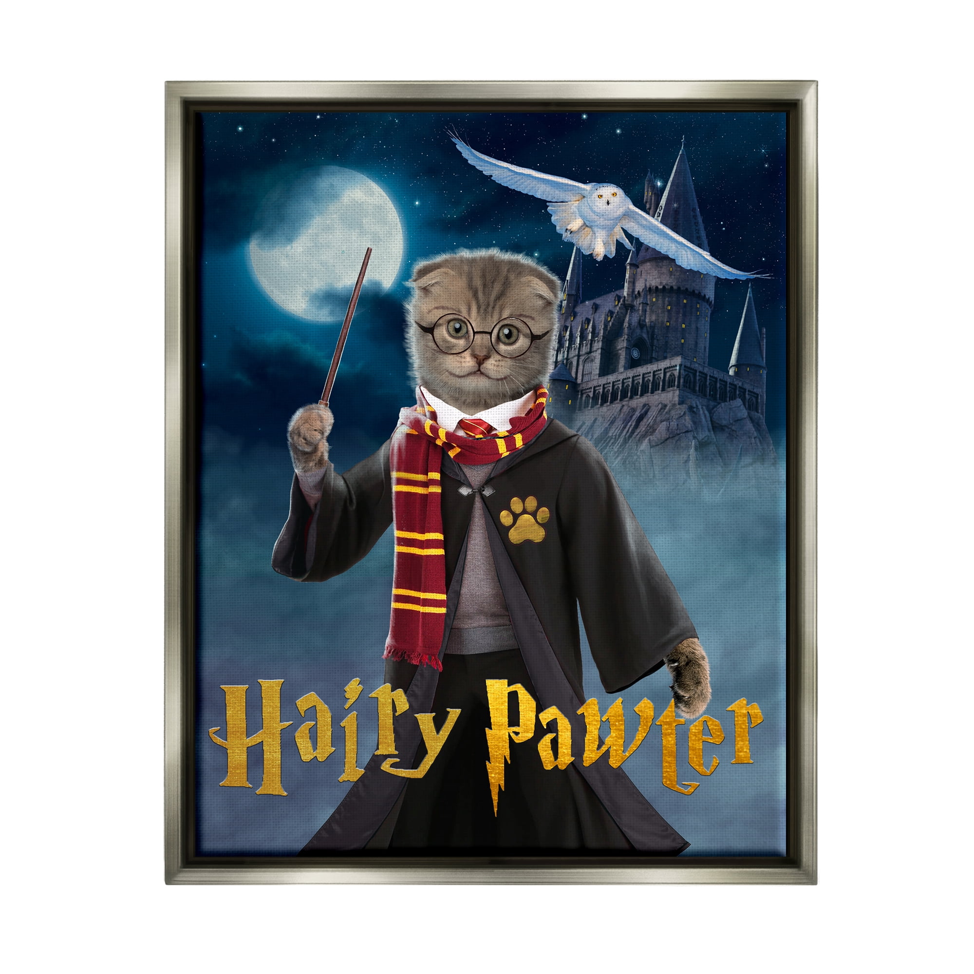 Stupell Industries Hairy Pawter Cat Wizard Animals & Insects Painting Gray Floater Framed Canvas Art Print Wall Art, 17 x 21