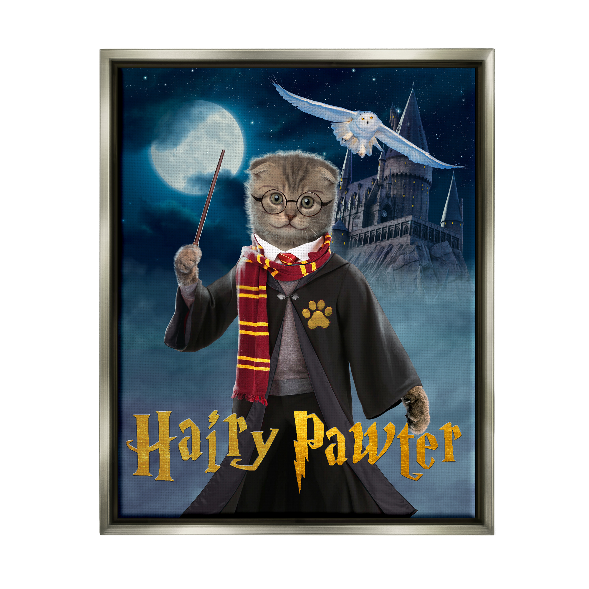 Stupell Industries Hairy Pawter Cat Wizard Animals & Insects Painting Gray Floater Framed Canvas Art Print Wall Art, 25 x 31