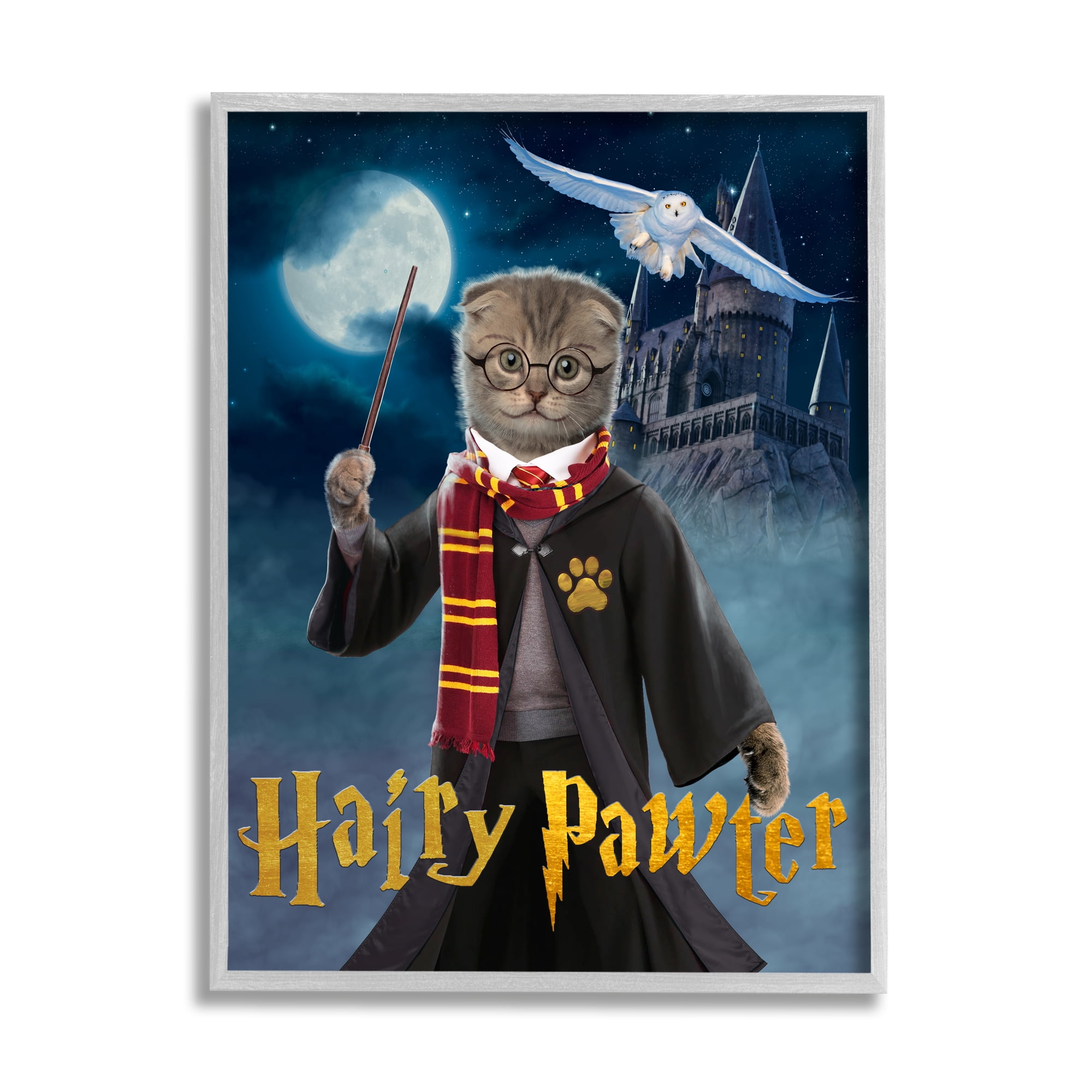 Stupell Industries Hairy Pawter Cat Wizard Animals & Insects Painting Gray Framed Art Print Wall Art, 11 x 14