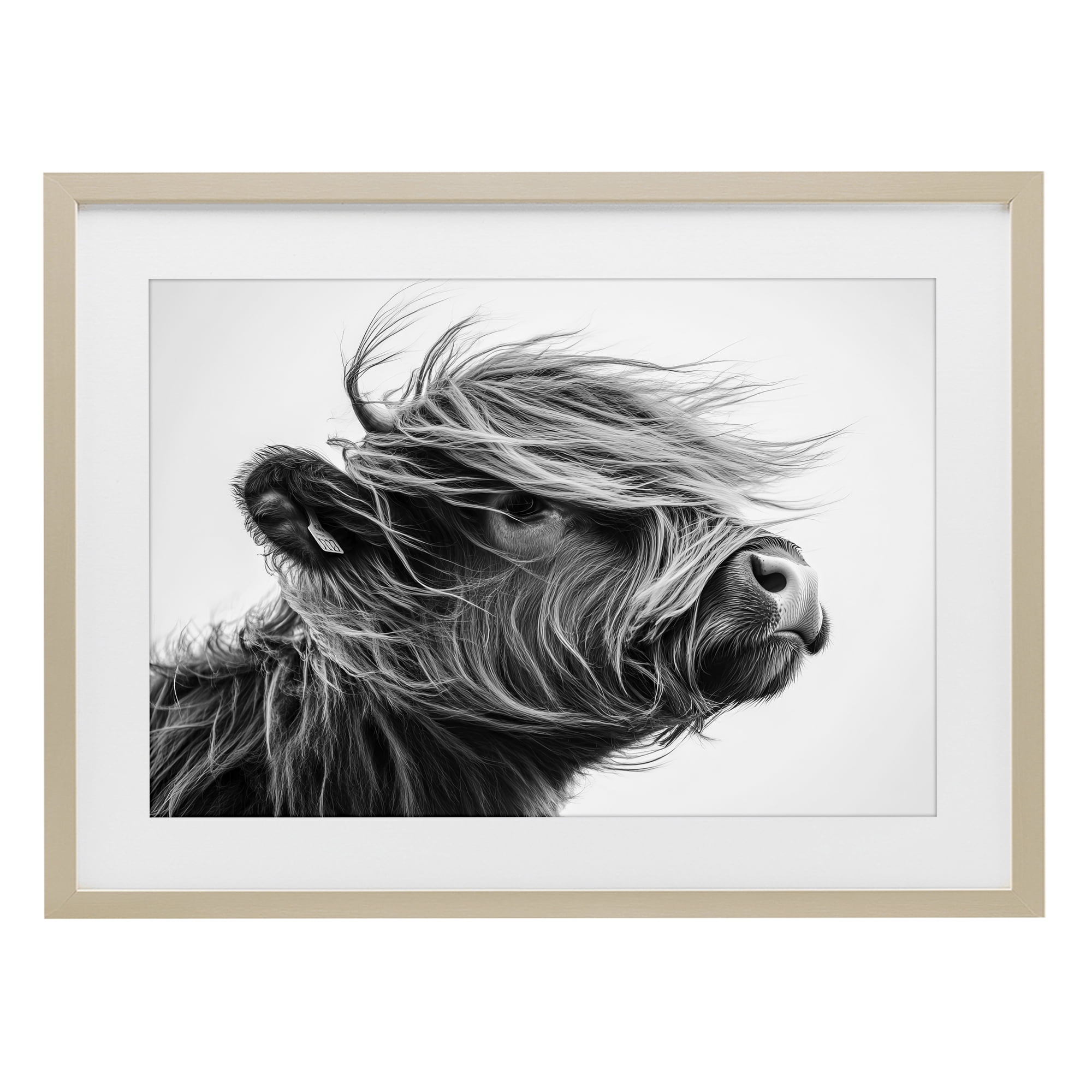 Stupell Industries Handsome Highland Portrait Birch Framed Print Under Glass, design by Tina LeCour