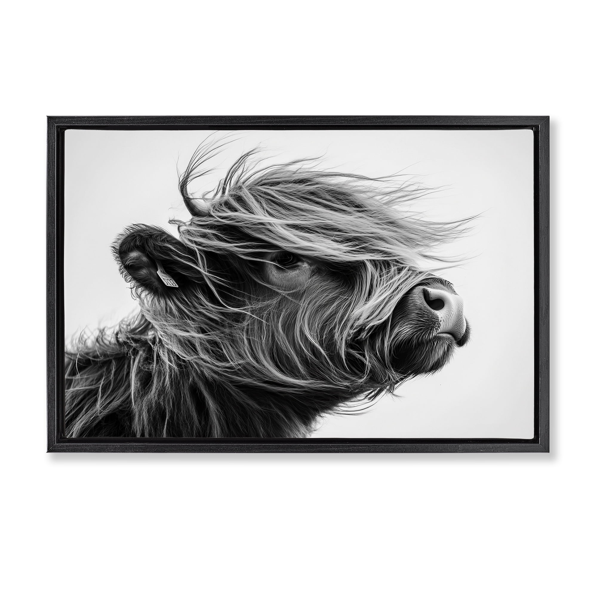 Stupell Industries Handsome Highland Portrait Black Framed Floater Canvas Wall Art, design by Tina LeCour