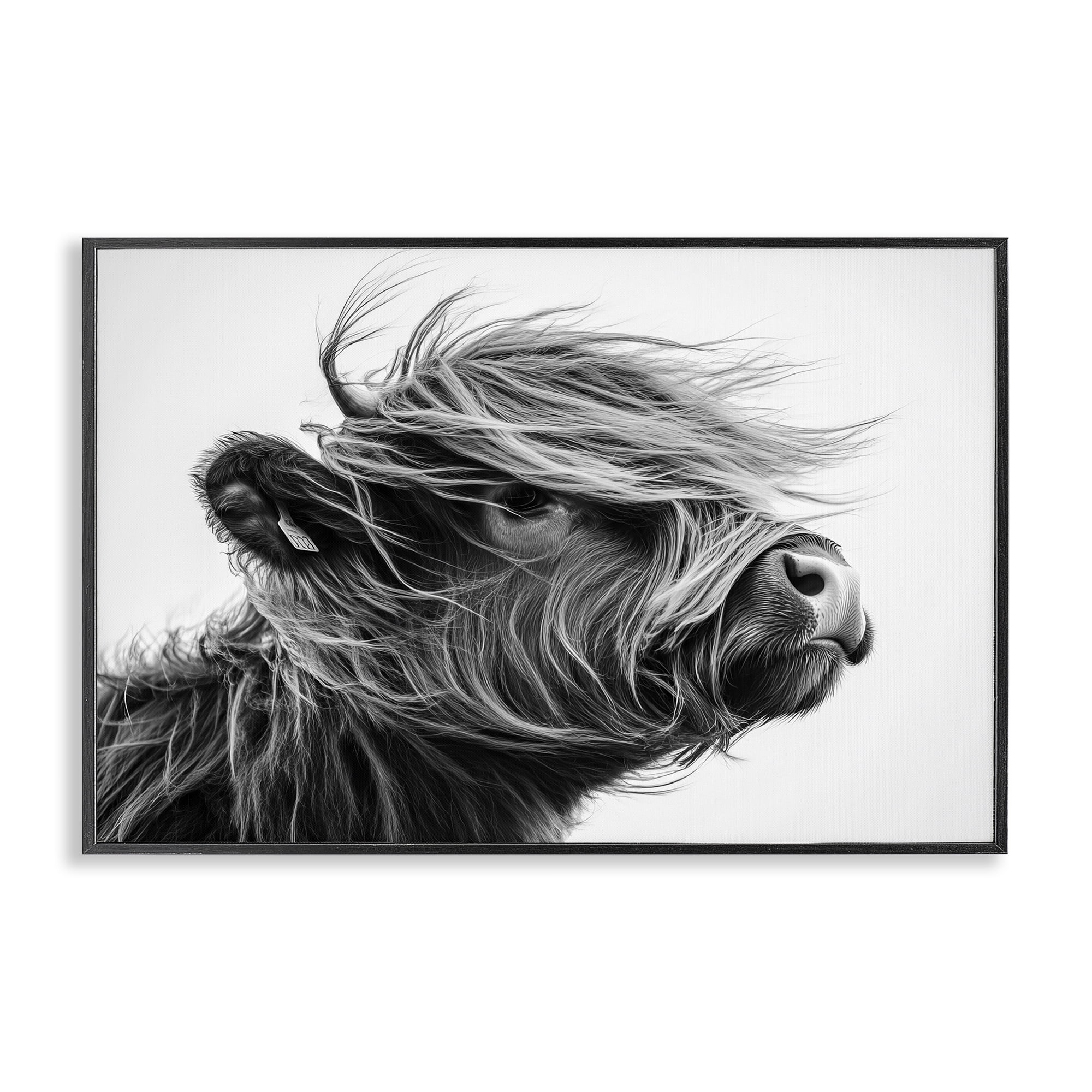 Stupell Industries Handsome Highland Portrait Black Framed Giclee Art, design by Tina LeCour