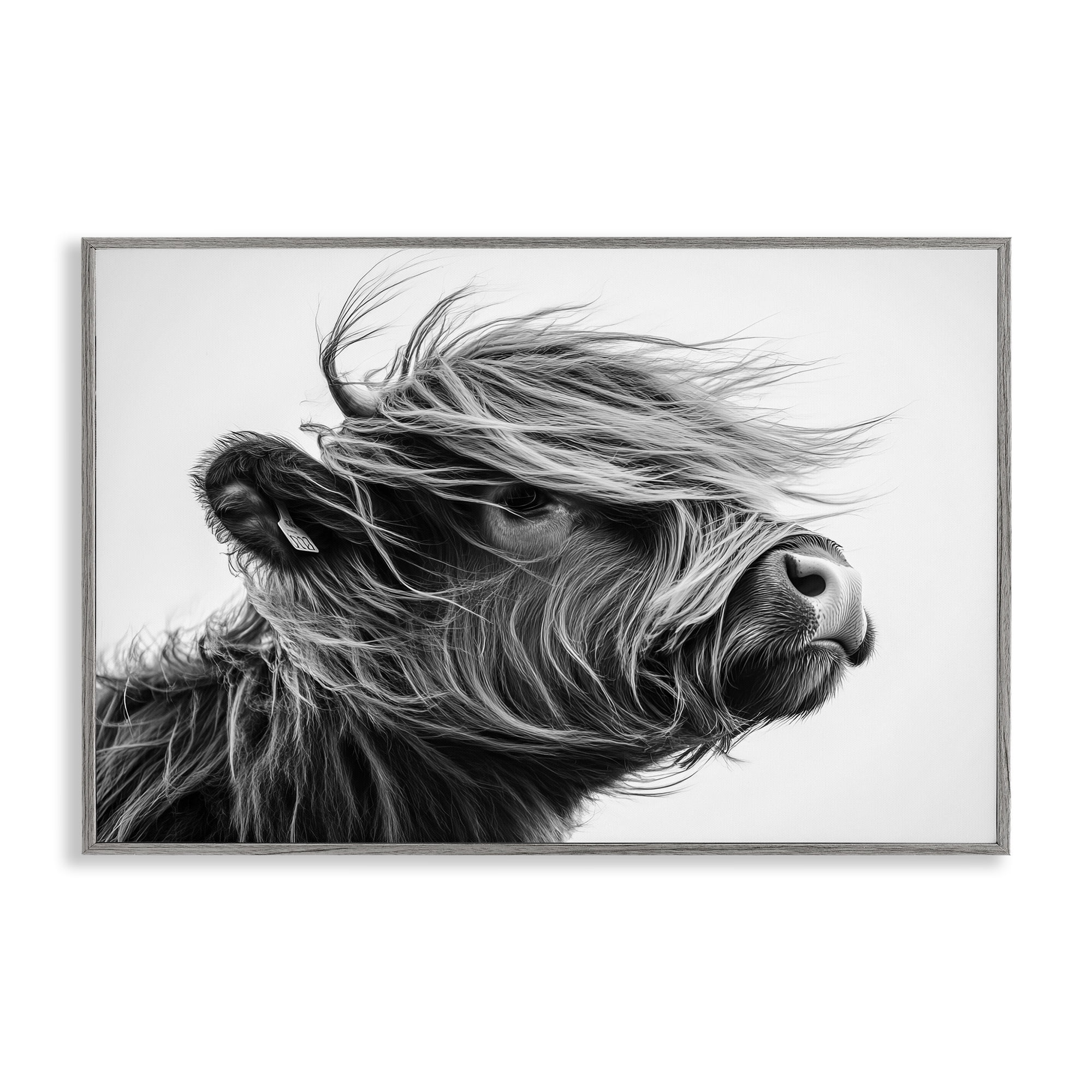 Stupell Industries Handsome Highland Portrait Gray Framed Giclee Art, design by Tina LeCour