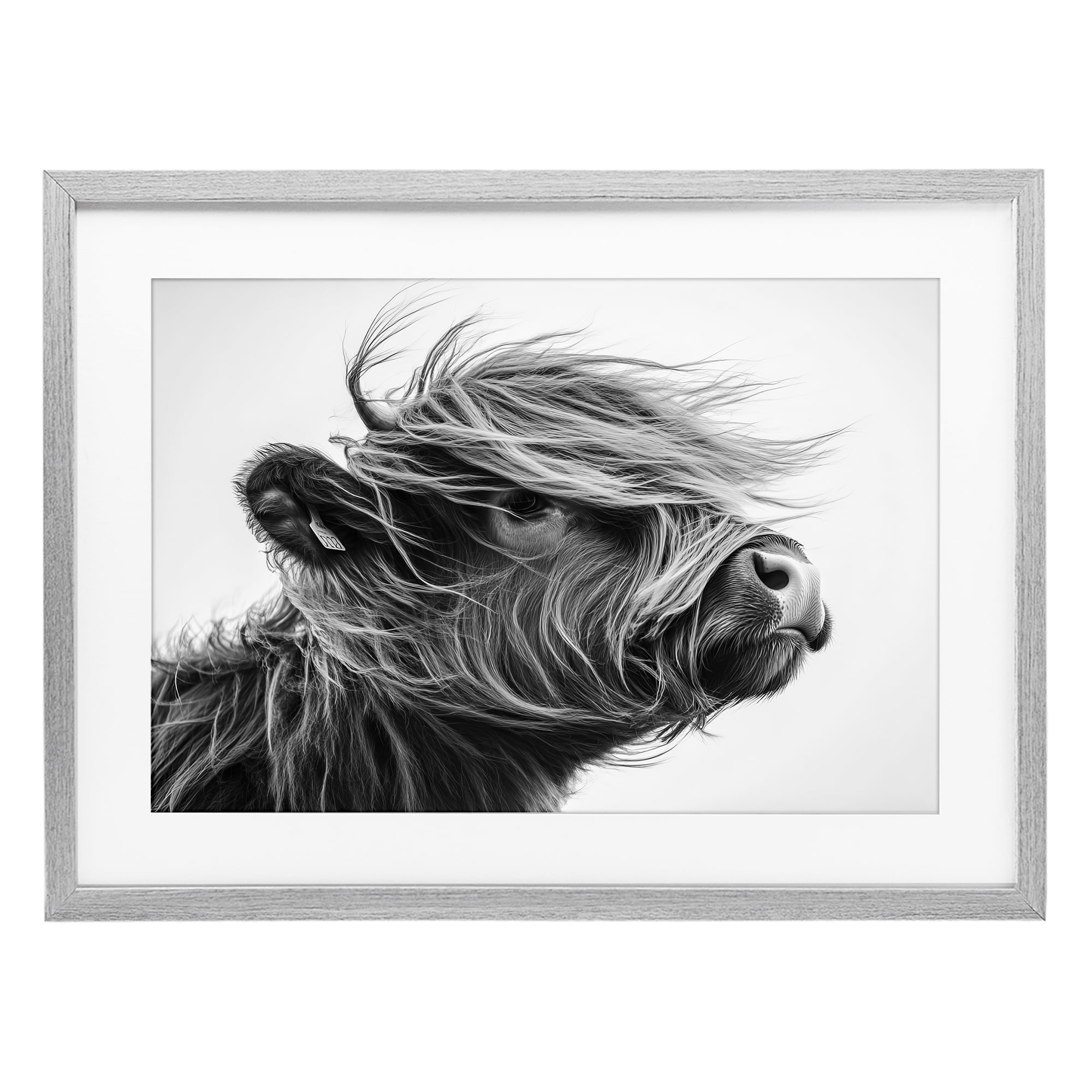 Stupell Industries Handsome Highland Portrait Gray Framed Print Under Glass, design by Tina LeCour