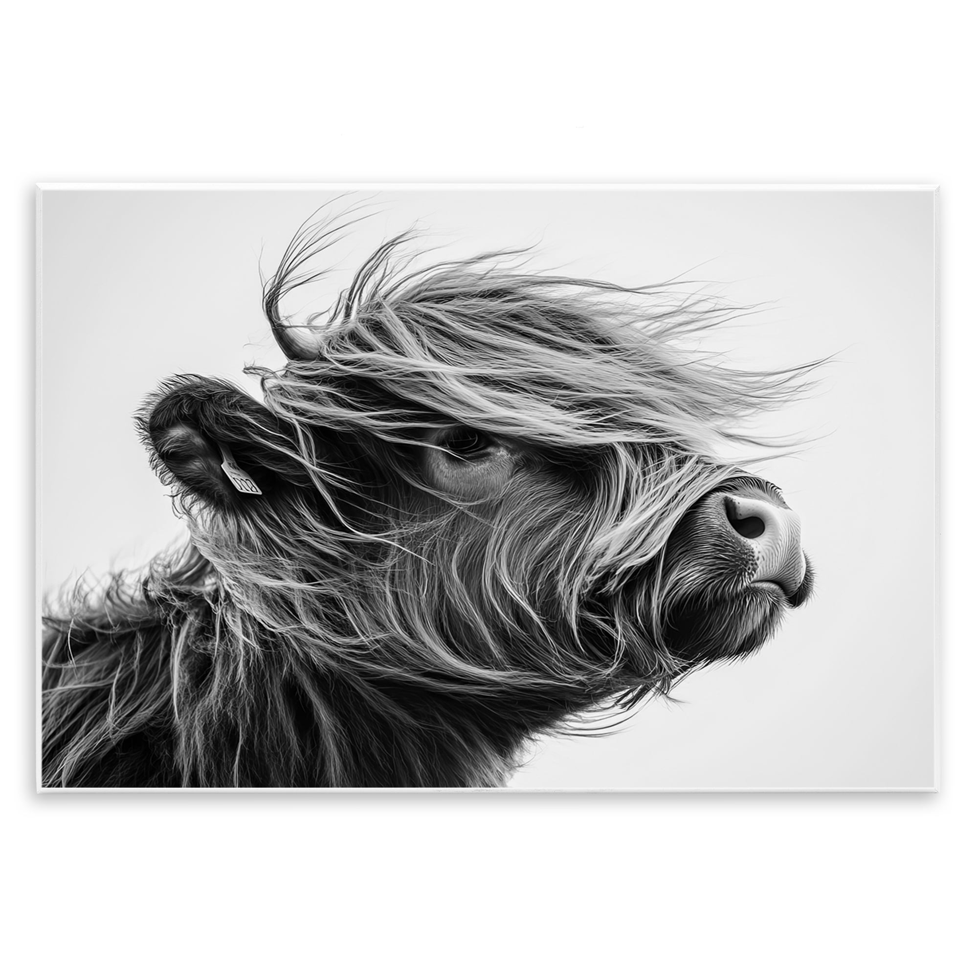 Stupell Industries Handsome Highland Portrait Wall Plaque Art, design by Tina LeCour