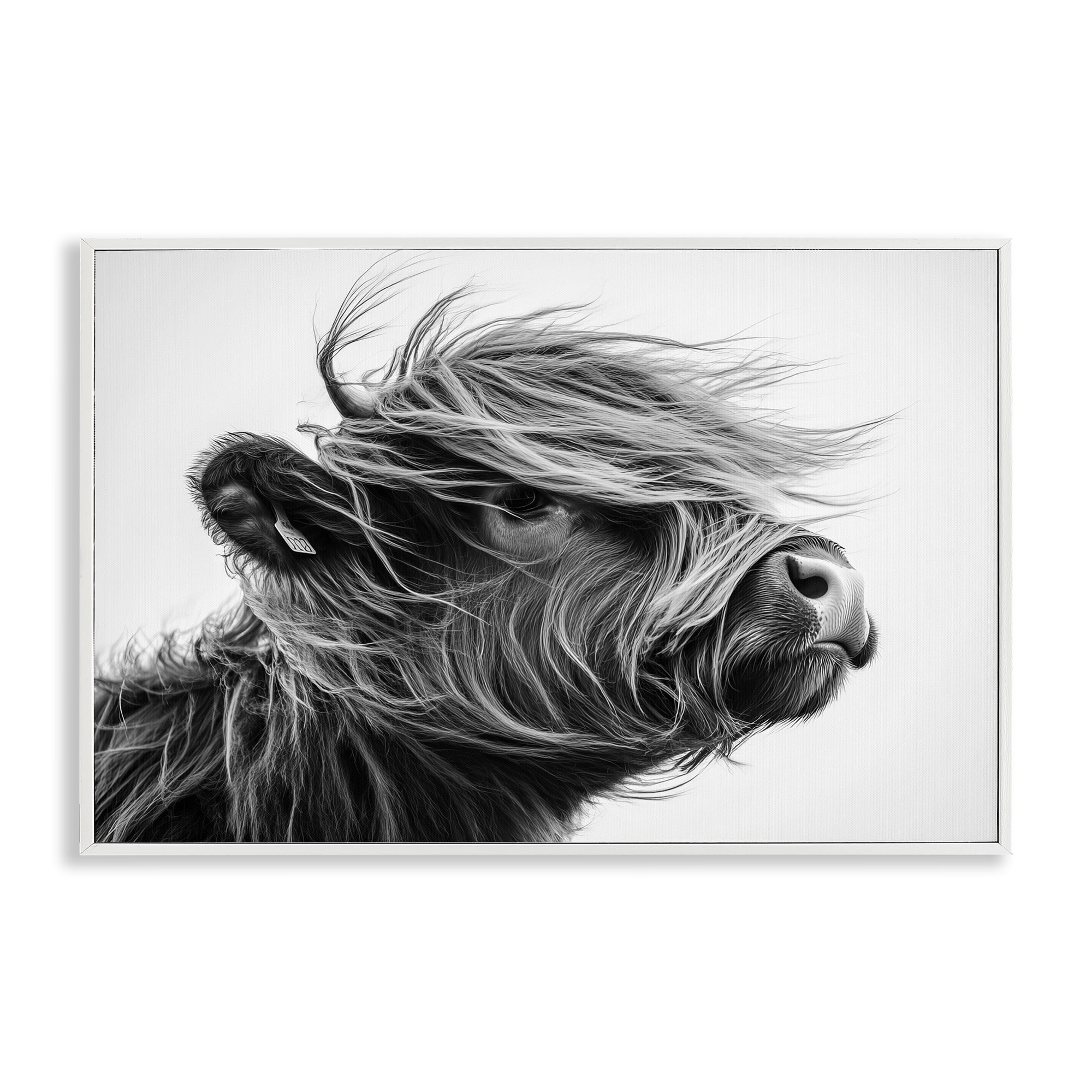 Stupell Industries Handsome Highland Portrait White Framed Giclee Art, design by Tina LeCour