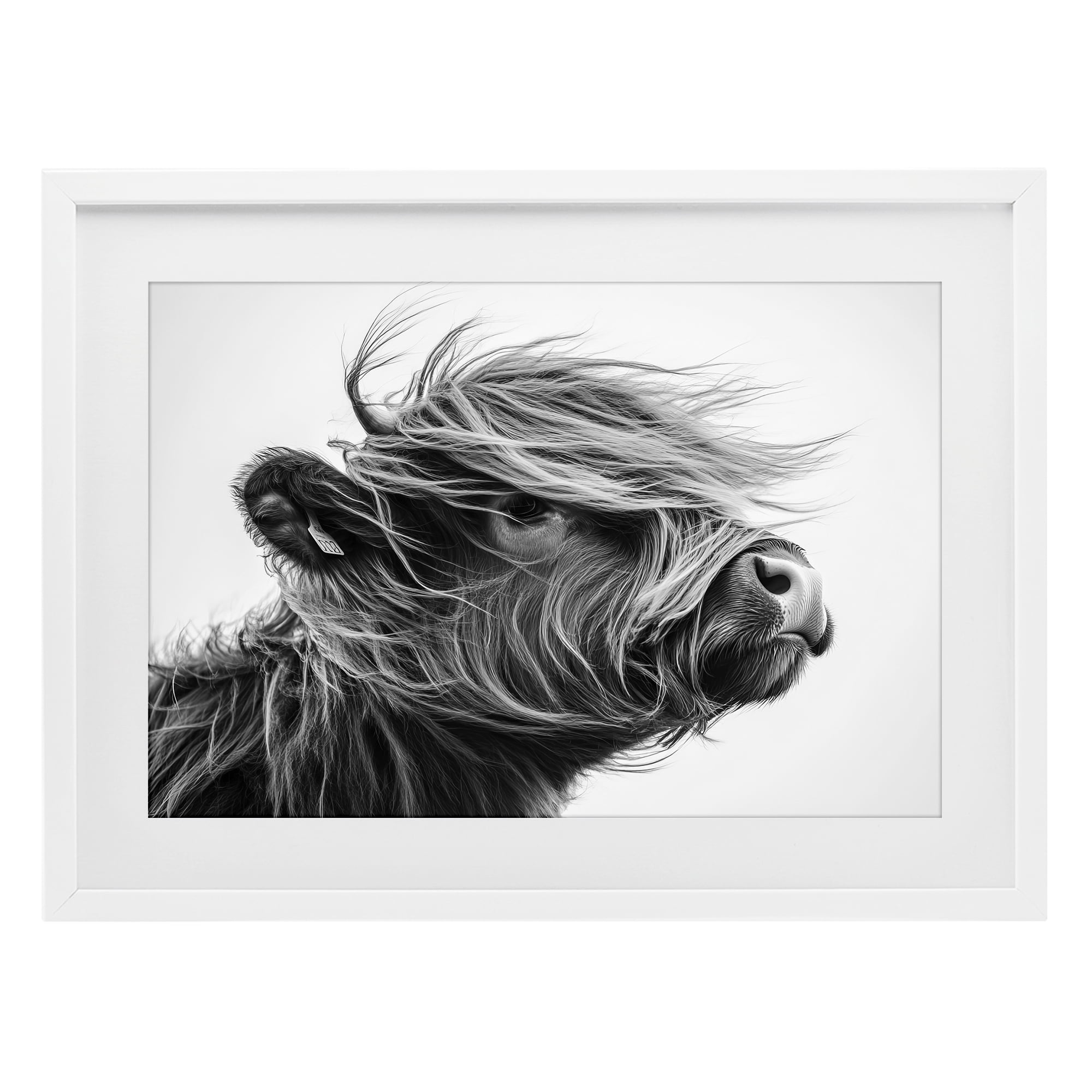 Stupell Industries Handsome Highland Portrait White Framed Print Under Glass, design by Tina LeCour