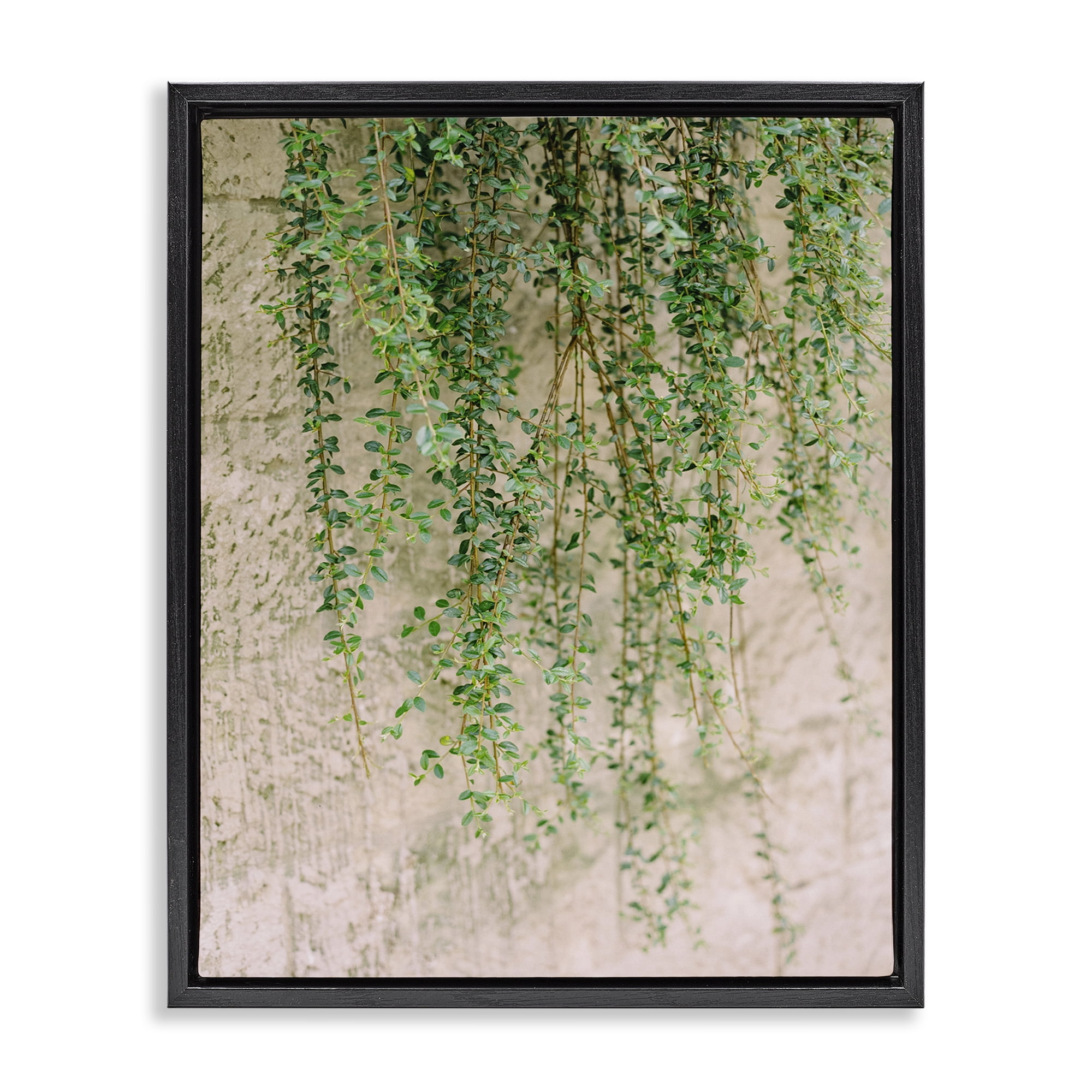 Stupell Industries Hanging Ivy Vines Botanical & Floral Photography Black Floater Framed Art Print Wall Art, 17 x 21
