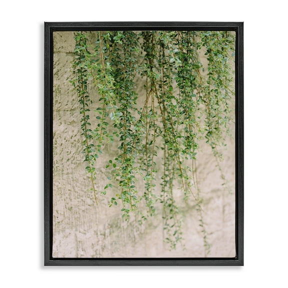 Stupell Industries Hanging Ivy Vines Botanical & Floral Photography Black Floater Framed Art Print Wall Art, 17 x 21