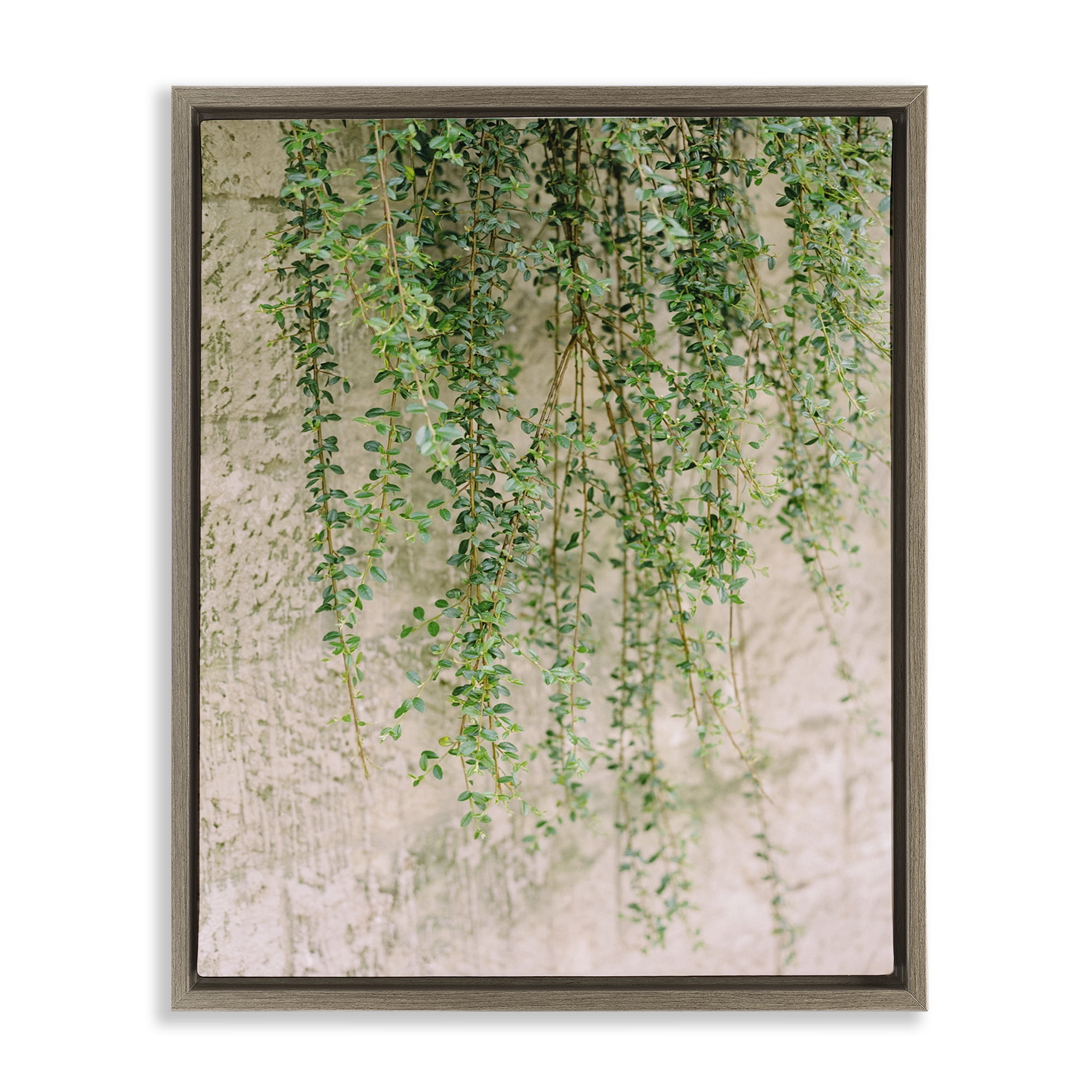 Stupell Industries Hanging Ivy Vines Botanical & Floral Photography Brown Floater Framed Art Print Wall Art, 17 x 21