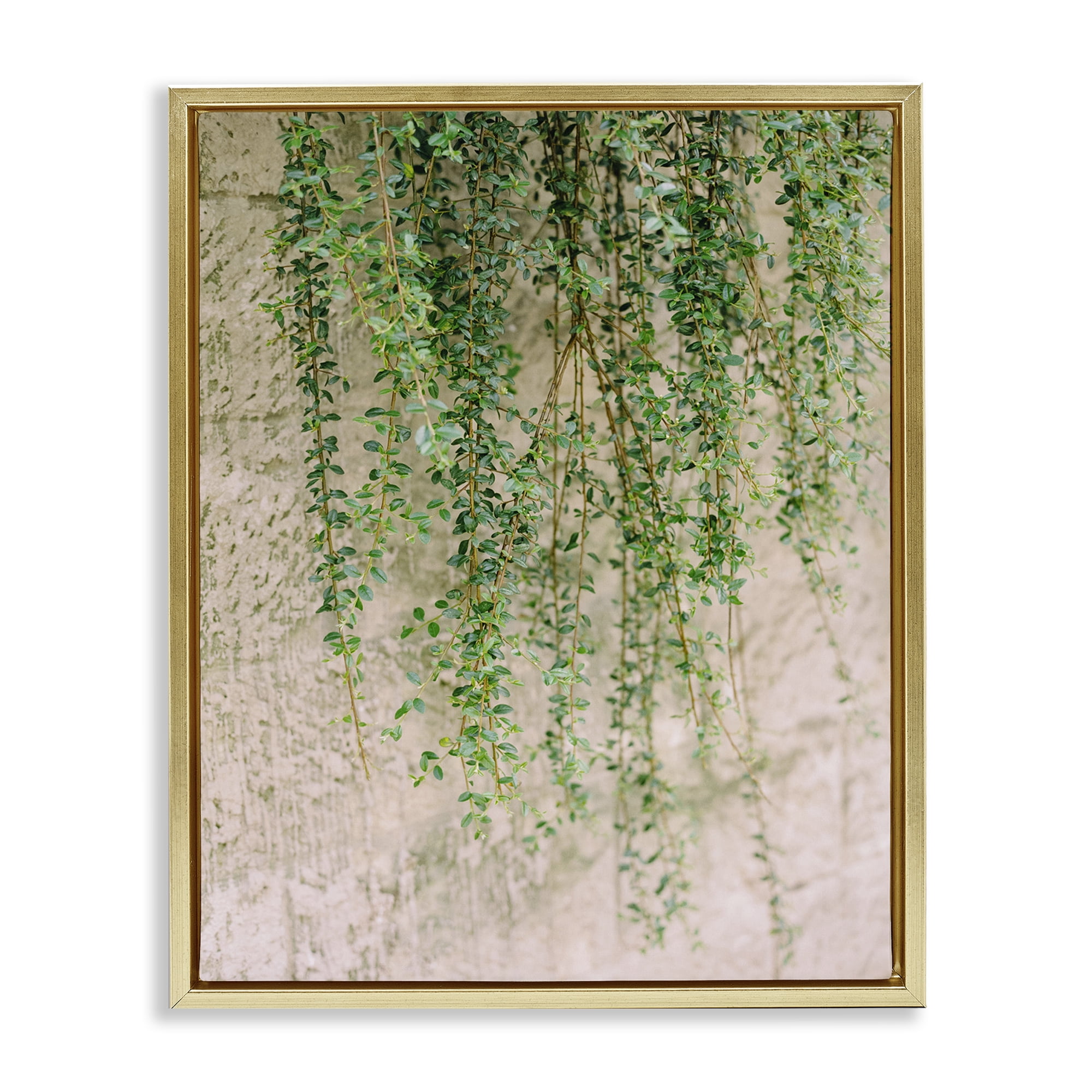 Stupell Industries Hanging Ivy Vines Botanical & Floral Photography Gold Floater Framed Art Print Wall Art, 17 x 21