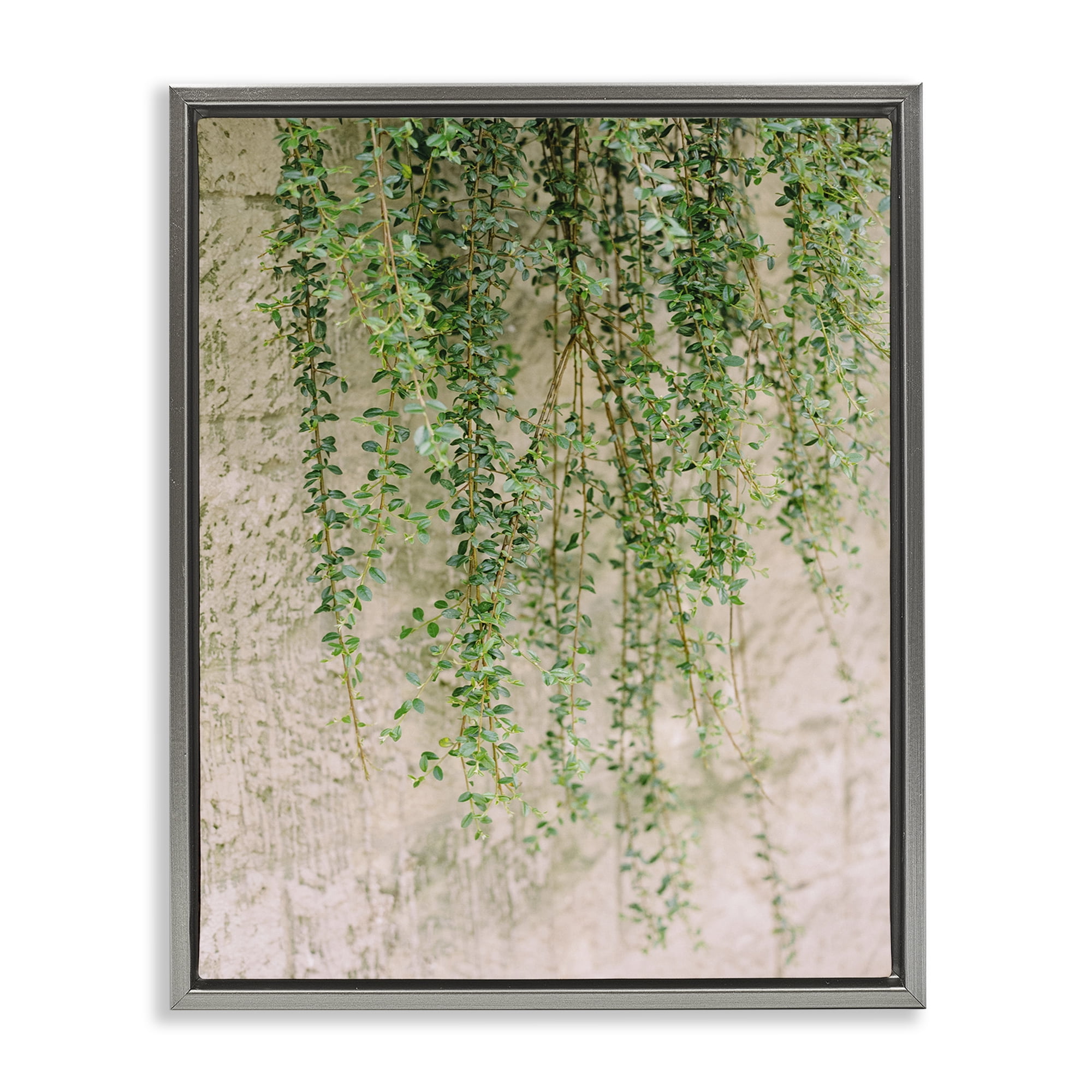 Stupell Industries Hanging Ivy Vines Botanical & Floral Photography Gray Floater Framed Art Print Wall Art, 17 x 21