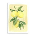 thumbnail image 1 of Stupell Industries Hanging Lemons Country Charm Food & Beverage Painting Unframed Art Print Wall Art, 13 x 19, 1 of 7