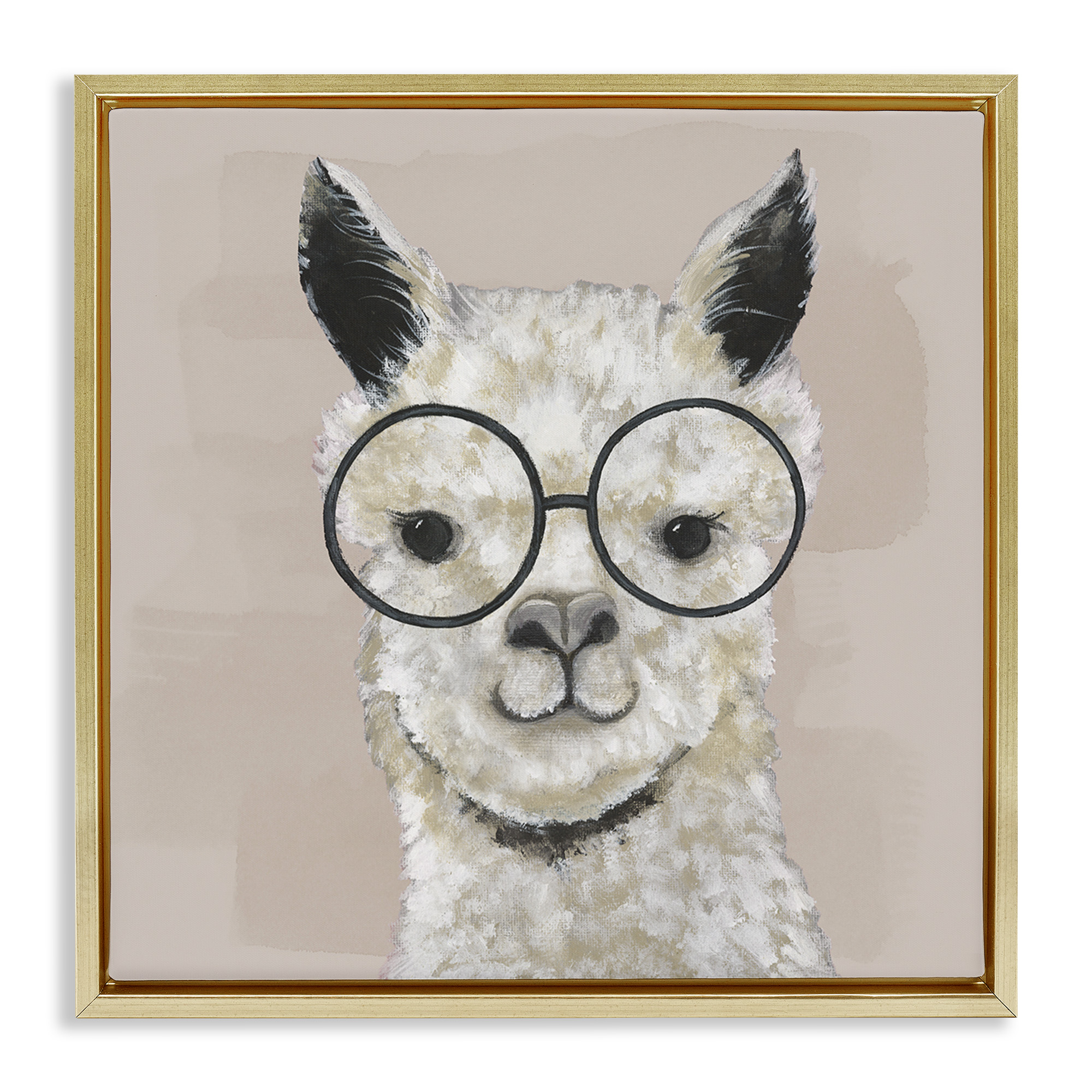 Stupell Industries Happy Alpaca Glasses Portrait Animals & Insects Painting Gold Floater Framed Canvas Art Print Wall Art, 25 x 25