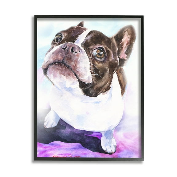 Stupell Industries Happy Boston Terrier Pet Dog Portrait Black Purple Black Framed, 11 x 14, Design by George Dyachenko