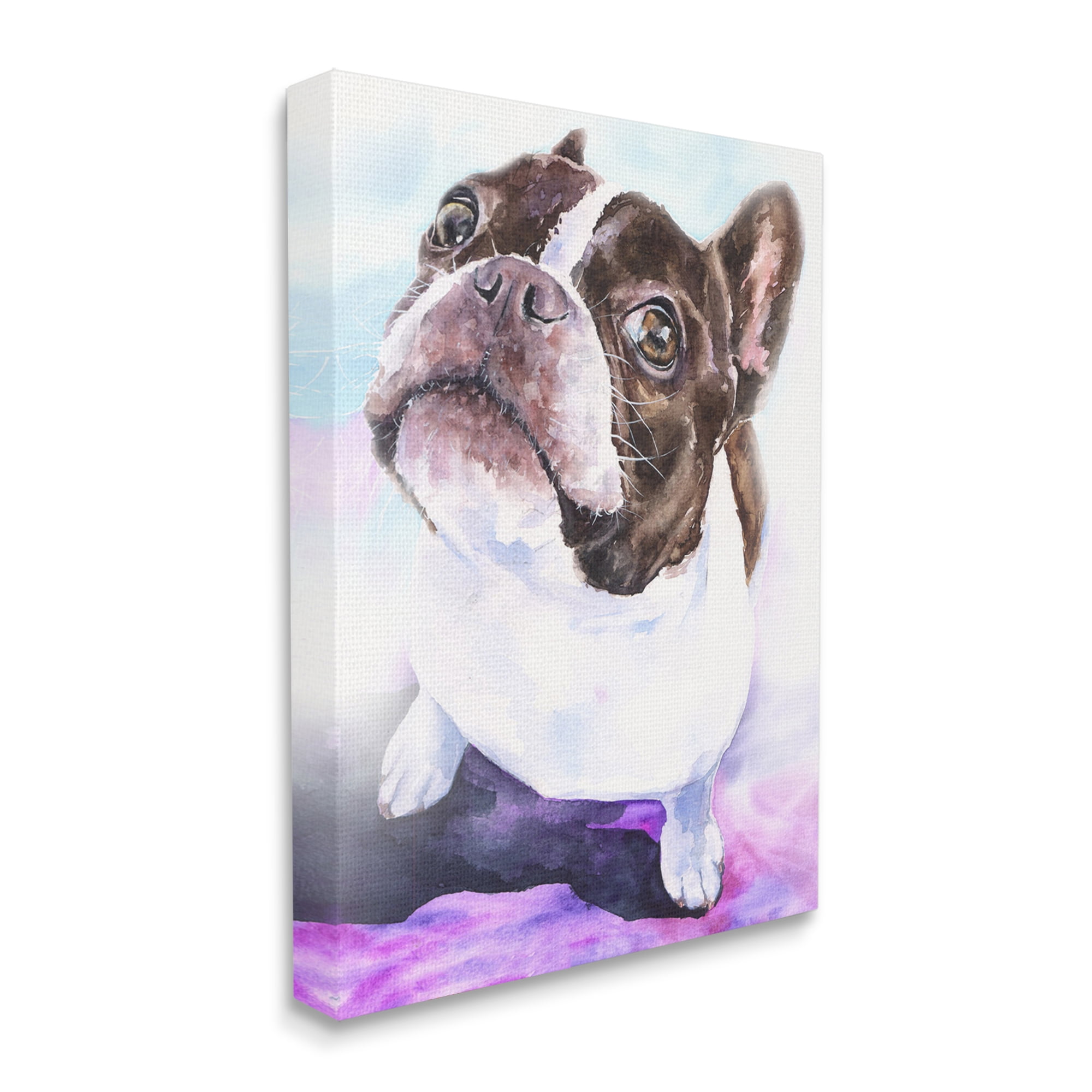 Stupell Industries Happy Boston Terrier Pet Dog Portrait Black Purple Canvas Wall Art, 24 x 30, Design by George Dyachenko