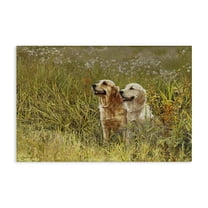 Stupell Industries Happy Dogs Field Day Animals Painting Wrapped Canvas Canvas Art Print Wall Art, 24 x 16