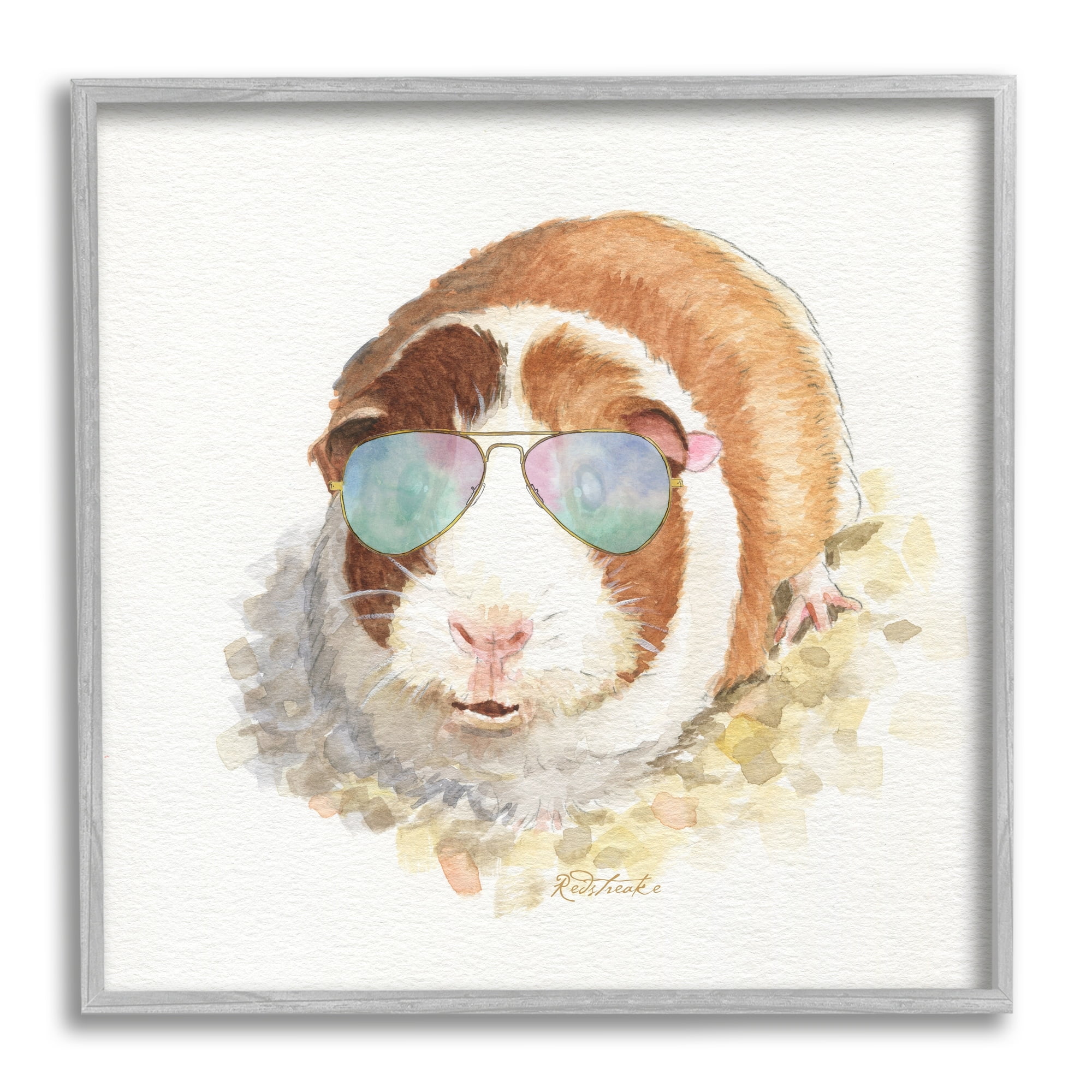 Stupell Industries Happy Guinea Pig Wearing Sunglasses Cheerful Watercolor Detail Painting Gray Framed Art Print Wall Art, Design by Jennifer Redstreake