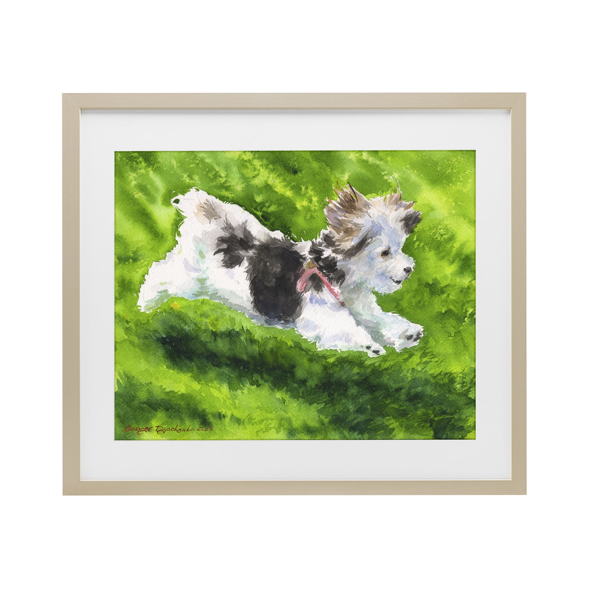 Stupell Industries Happy Maltipoo Running Birch Framed Print Under Glass, design by George Dyachenko