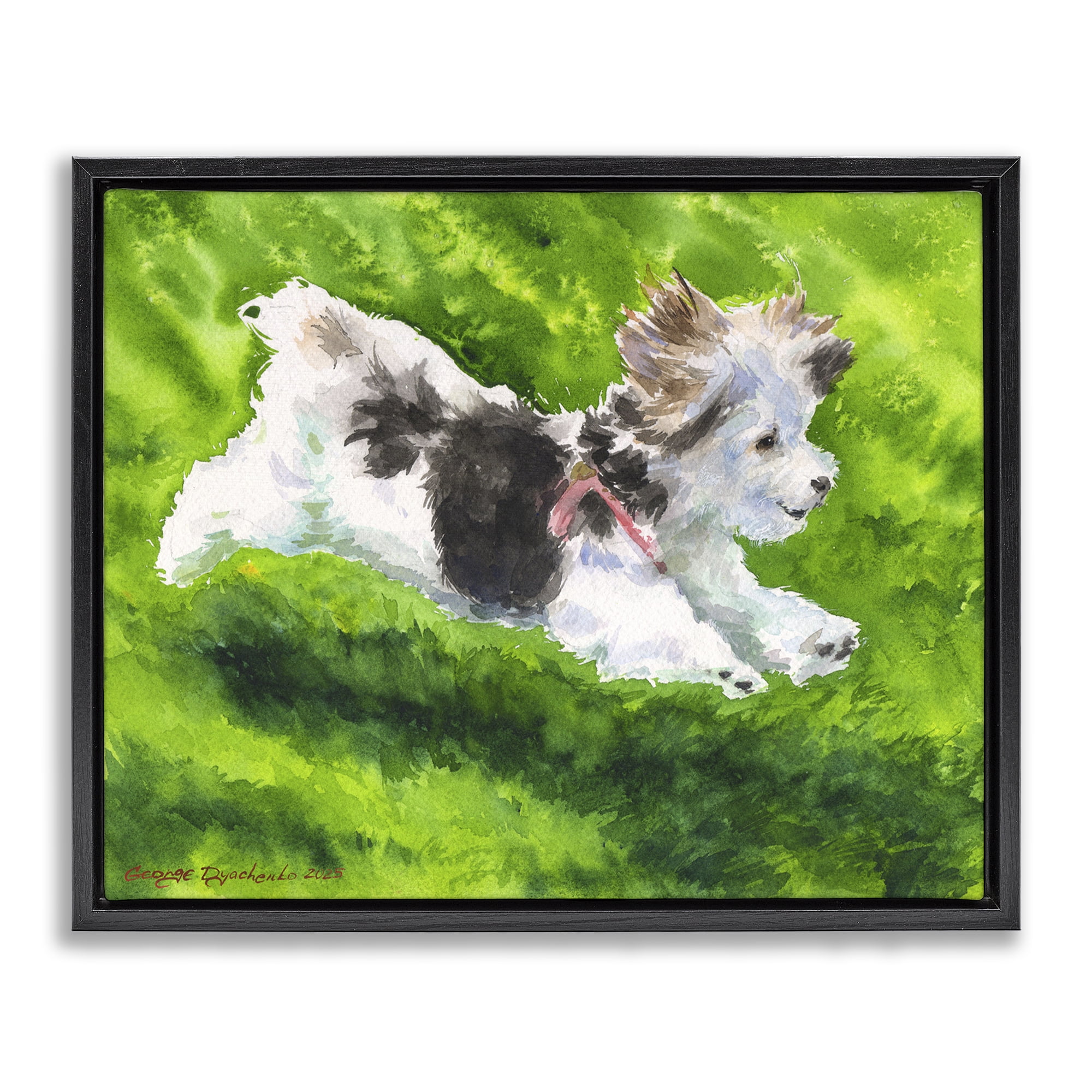 Stupell Industries Happy Maltipoo Running Black Framed Floater Canvas Wall Art, design by George Dyachenko