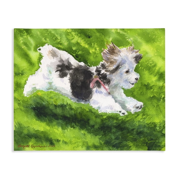 Stupell Industries Rustic Lodge Happy Maltipoo Running Canvas Art, 40 x 30, by George Dyachenko
