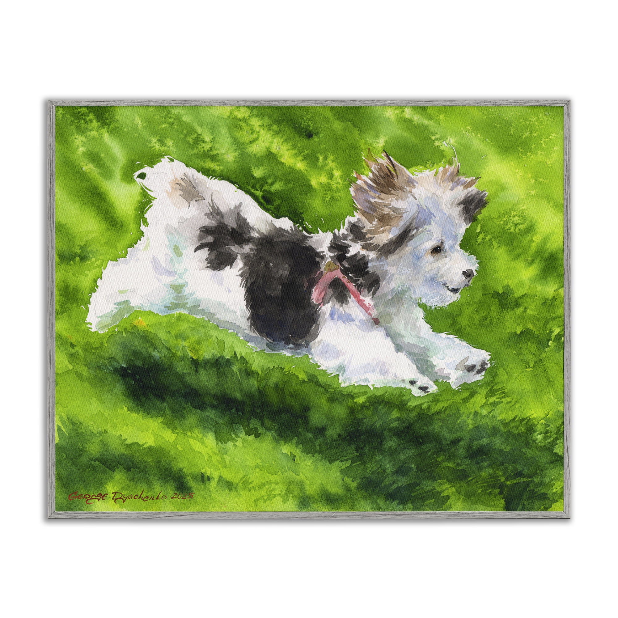 Stupell Industries Happy Maltipoo Running Gray Framed Giclee Art, design by George Dyachenko