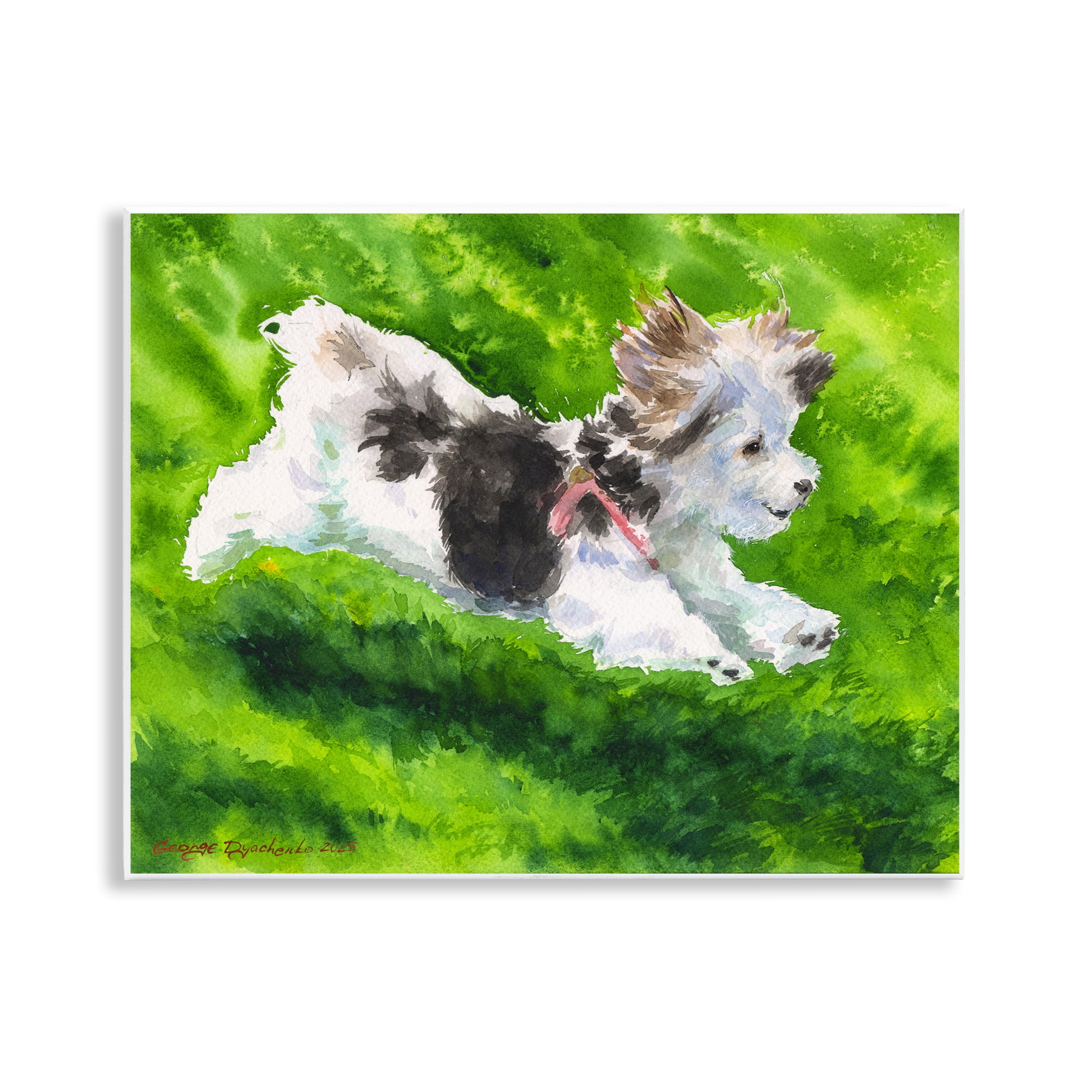 Stupell Industries Happy Maltipoo Running Wall Plaque Art, design by George Dyachenko