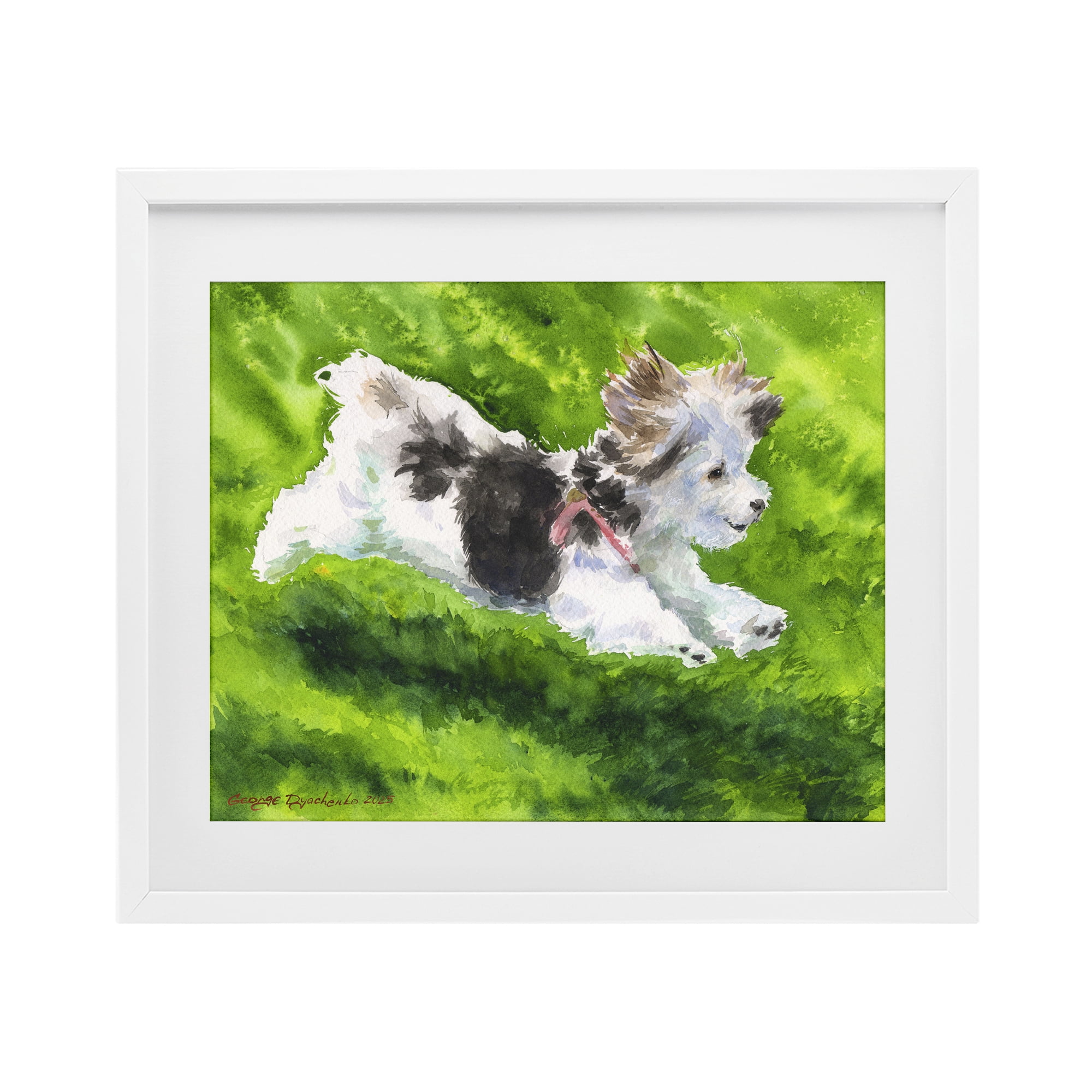 Stupell Industries Happy Maltipoo Running White Framed Print Under Glass, design by George Dyachenko