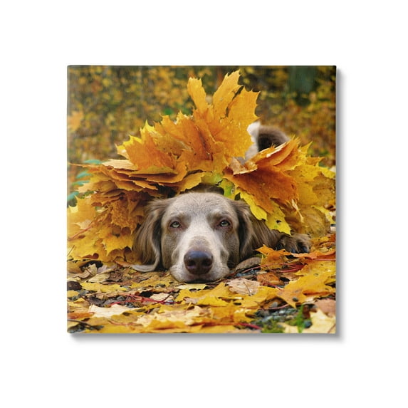 Stupell Industries Happy Puppy Autumn Foliage Photograph Gallery Wrapped Canvas Print Wall Art, Design by Lil' Rue