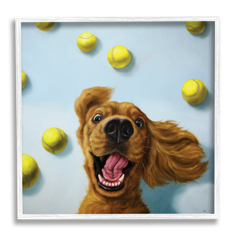  Stupell Industries Smiling Corgi Puppy on Glam Fashion Icon  Bookstack Wall Art, 10 x 15, White : Everything Else