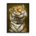 thumbnail image 1 of Stupell Industries Happy Tiger Funny Large Cat Animal Painting Framed Giclee Texturized Art by Patrick LaMontagne, 1 of 8