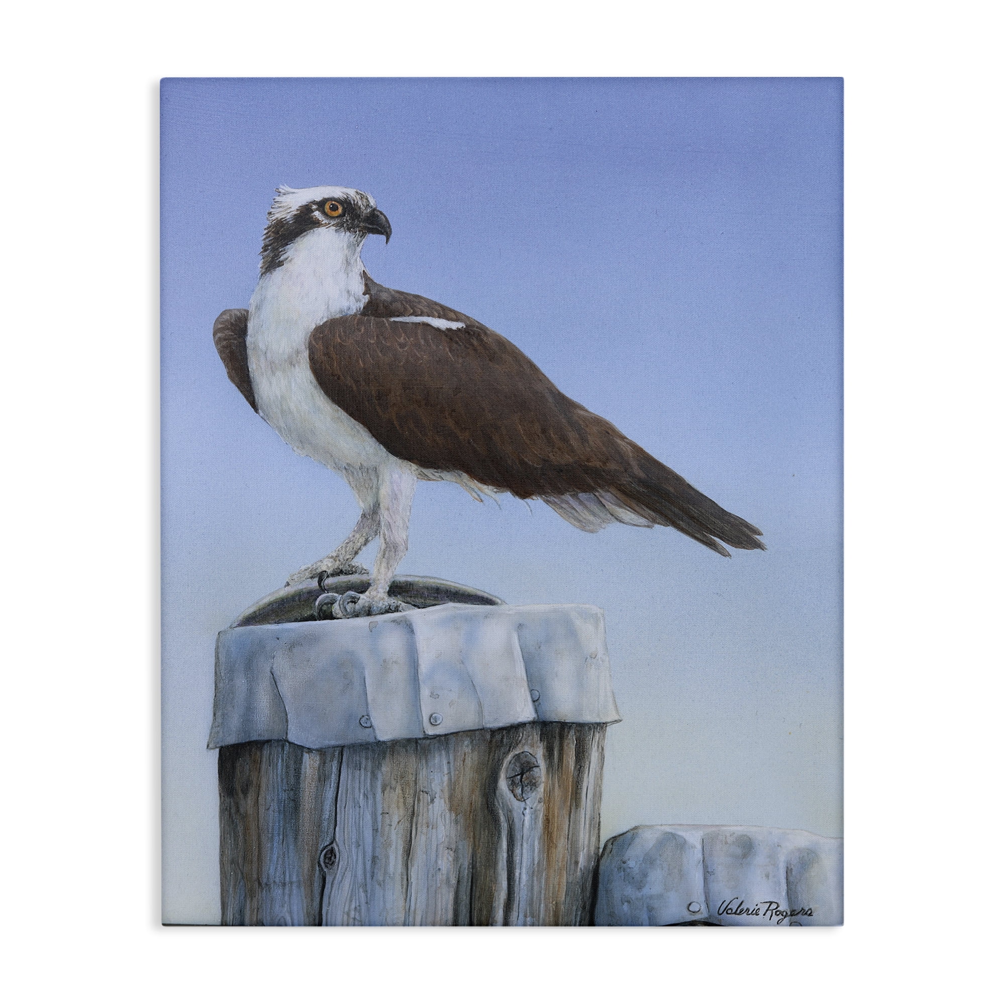 Stupell Industries Harbor Master Bird Perched Animals Painting Wrapped Canvas Art Print Wall Art, 16 x 20