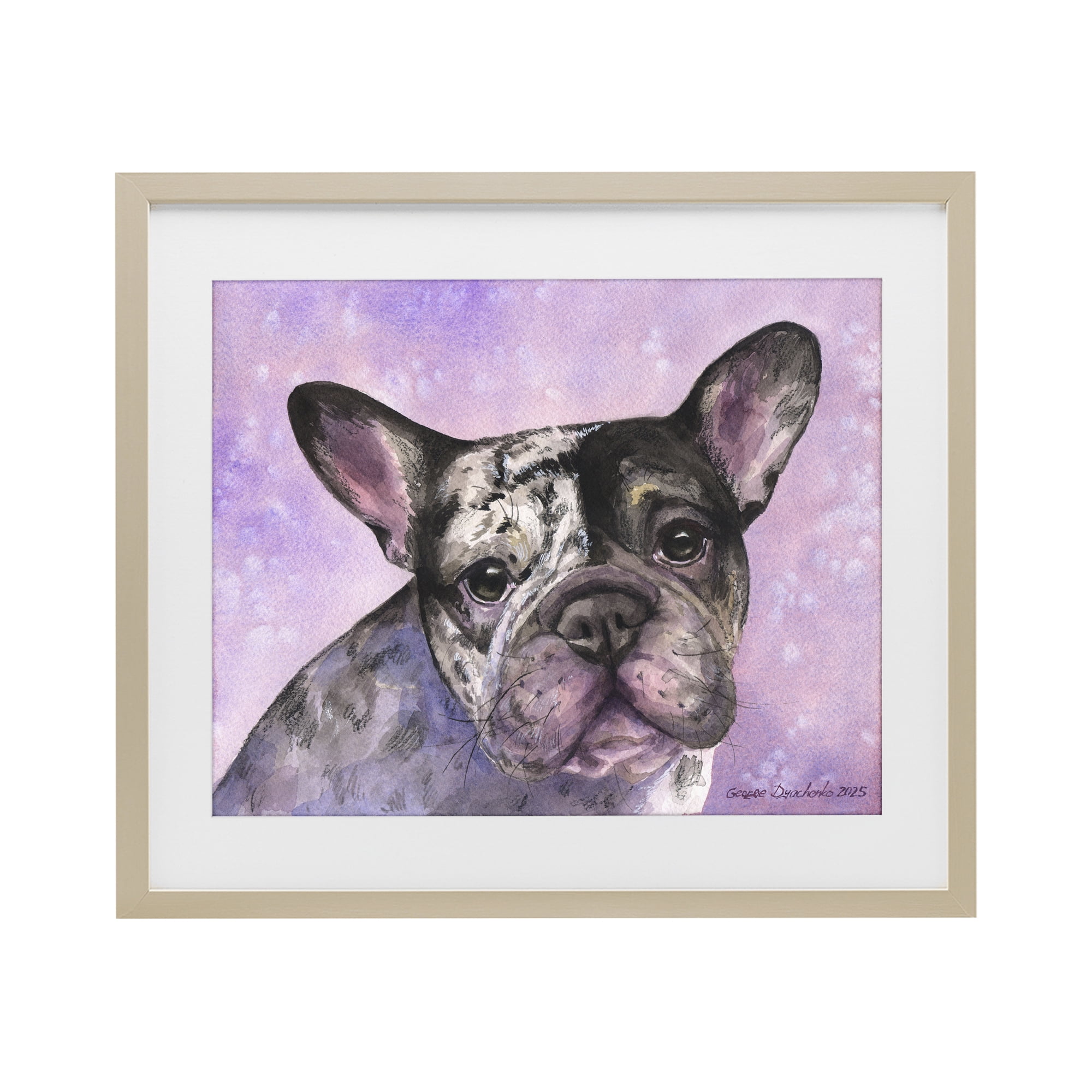 Stupell Industries Harlequin French Bulldog Birch Framed Print Under Glass, design by George Dyachenko