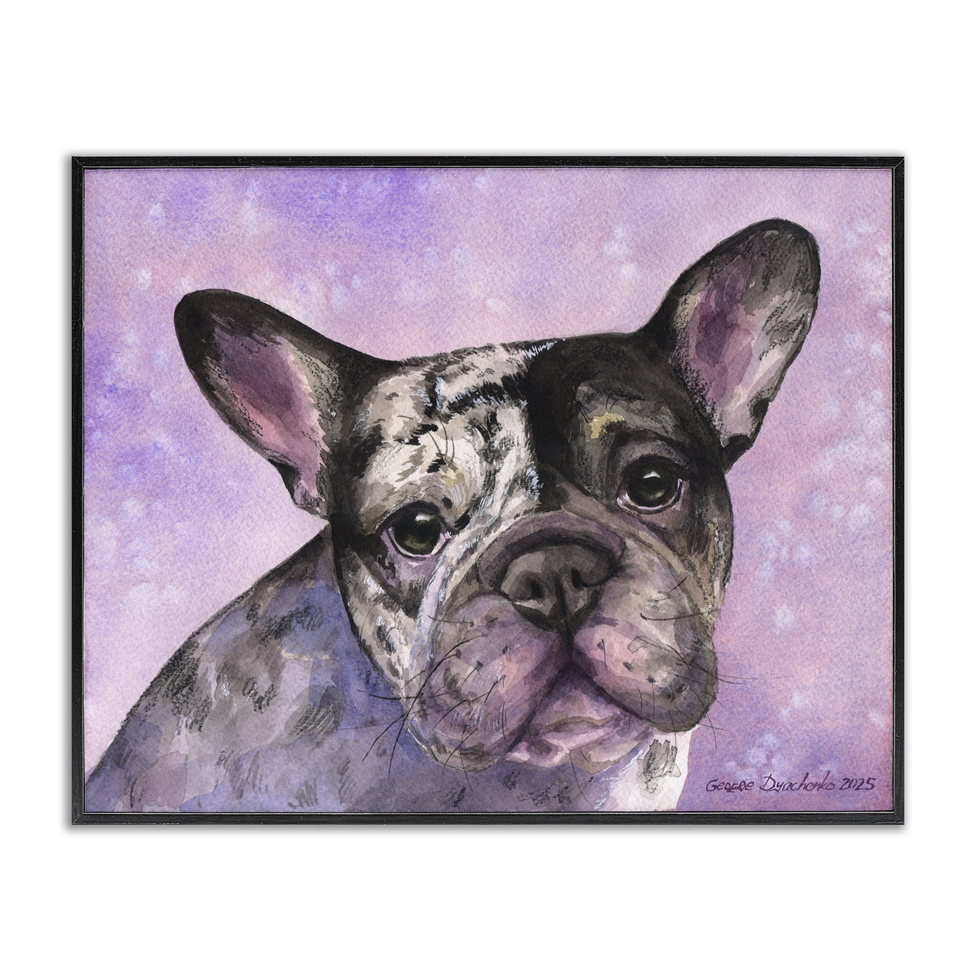 Stupell Industries Harlequin French Bulldog Black Framed Giclee Art, design by George Dyachenko