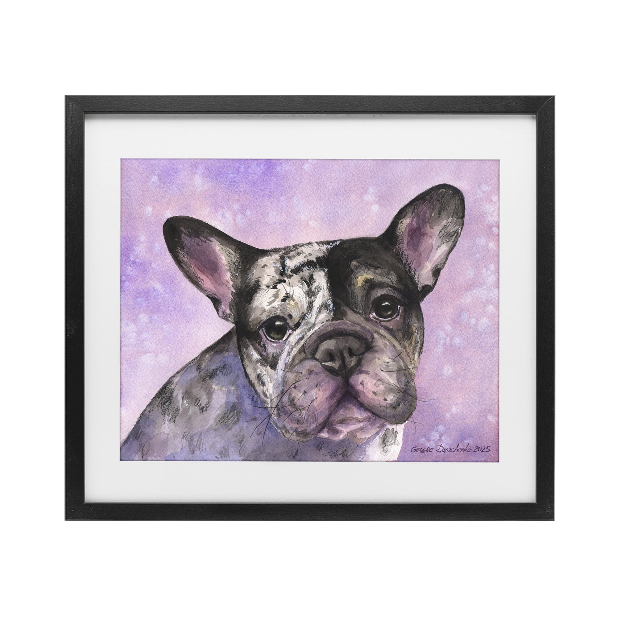 Stupell Industries Harlequin French Bulldog Black Framed Print Under Glass, design by George Dyachenko