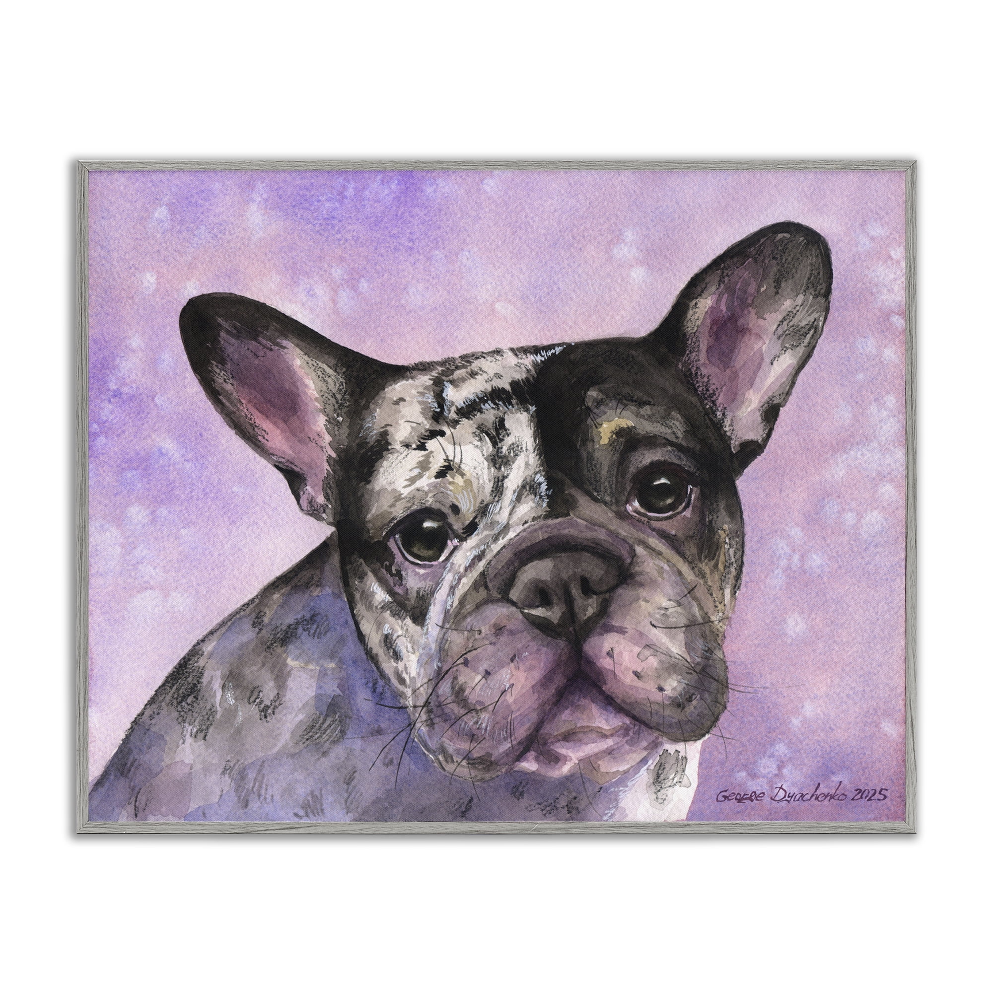 Stupell Industries Harlequin French Bulldog Gray Framed Giclee Art, design by George Dyachenko
