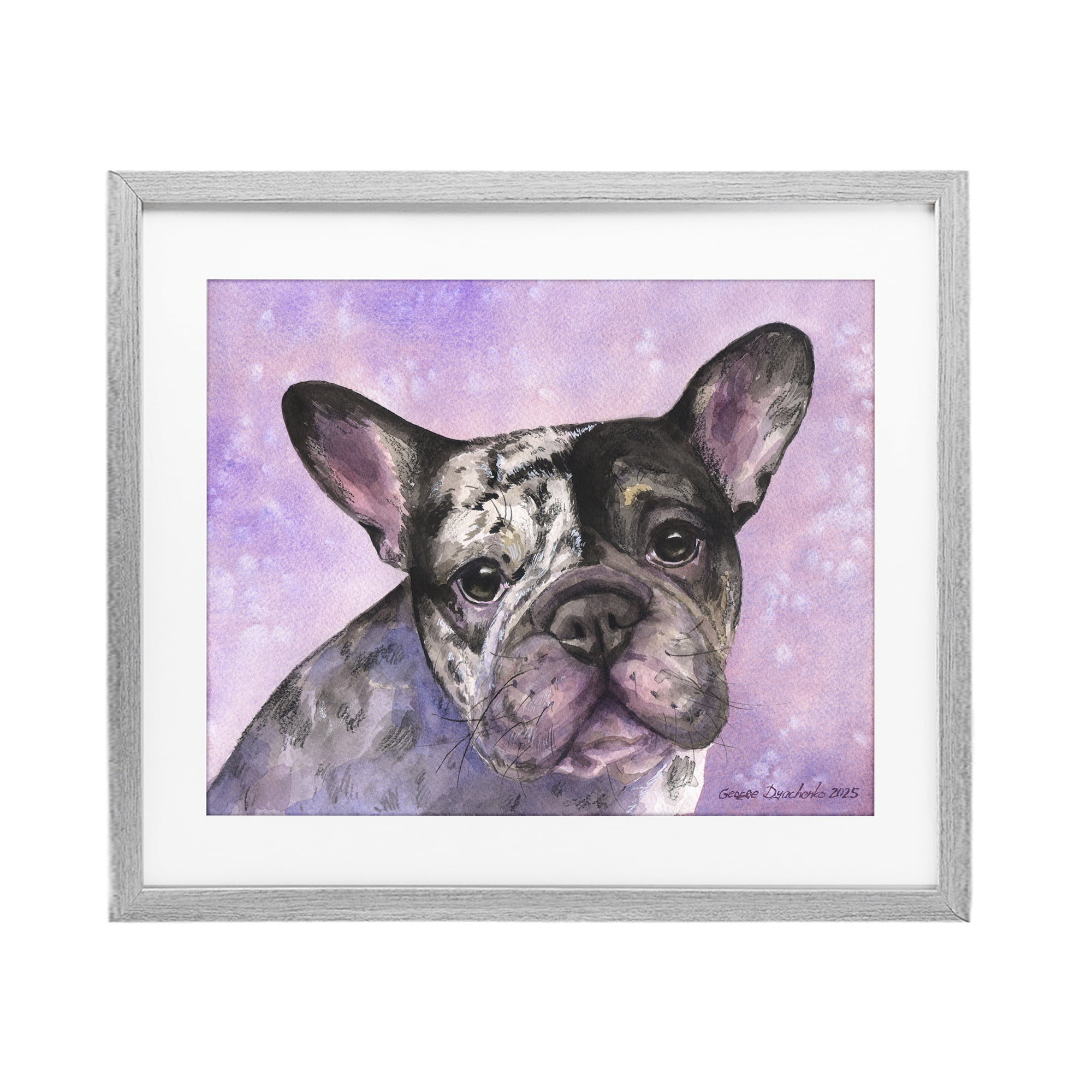 Stupell Industries Harlequin French Bulldog Gray Framed Print Under Glass, design by George Dyachenko