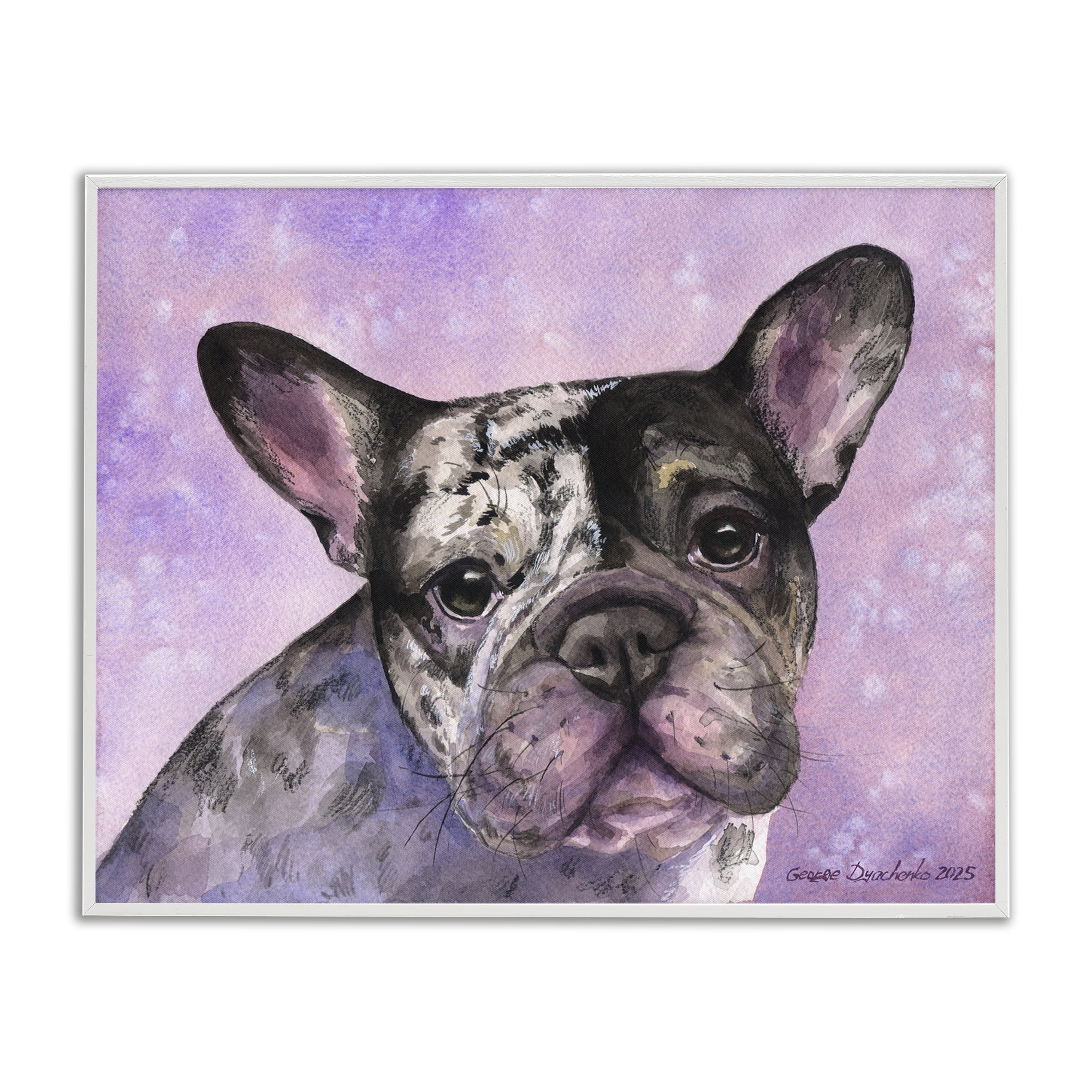 Stupell Industries Harlequin French Bulldog White Framed Giclee Art, design by George Dyachenko