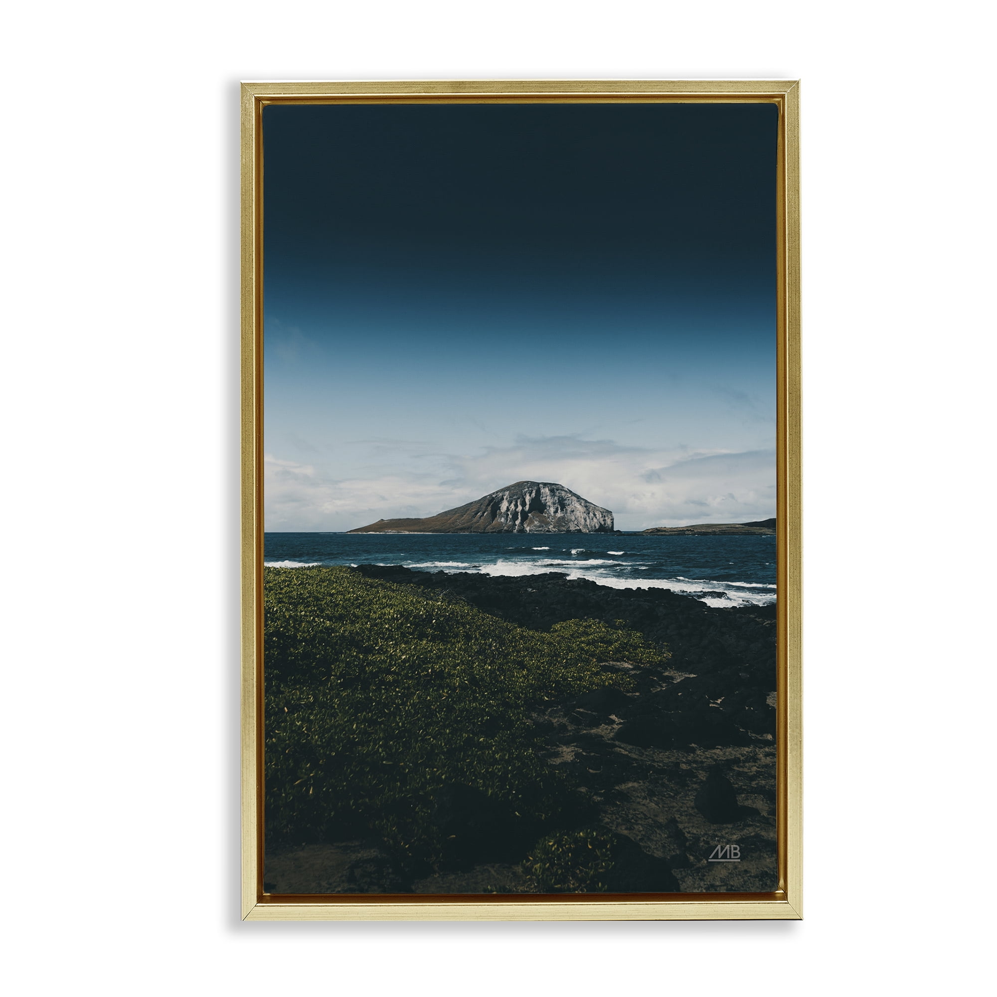 Stupell Industries Hawaiian Rocky Shore Landscape & Nature Photography Gold Floater Framed Canvas Art Print Wall Art, 17 x 25
